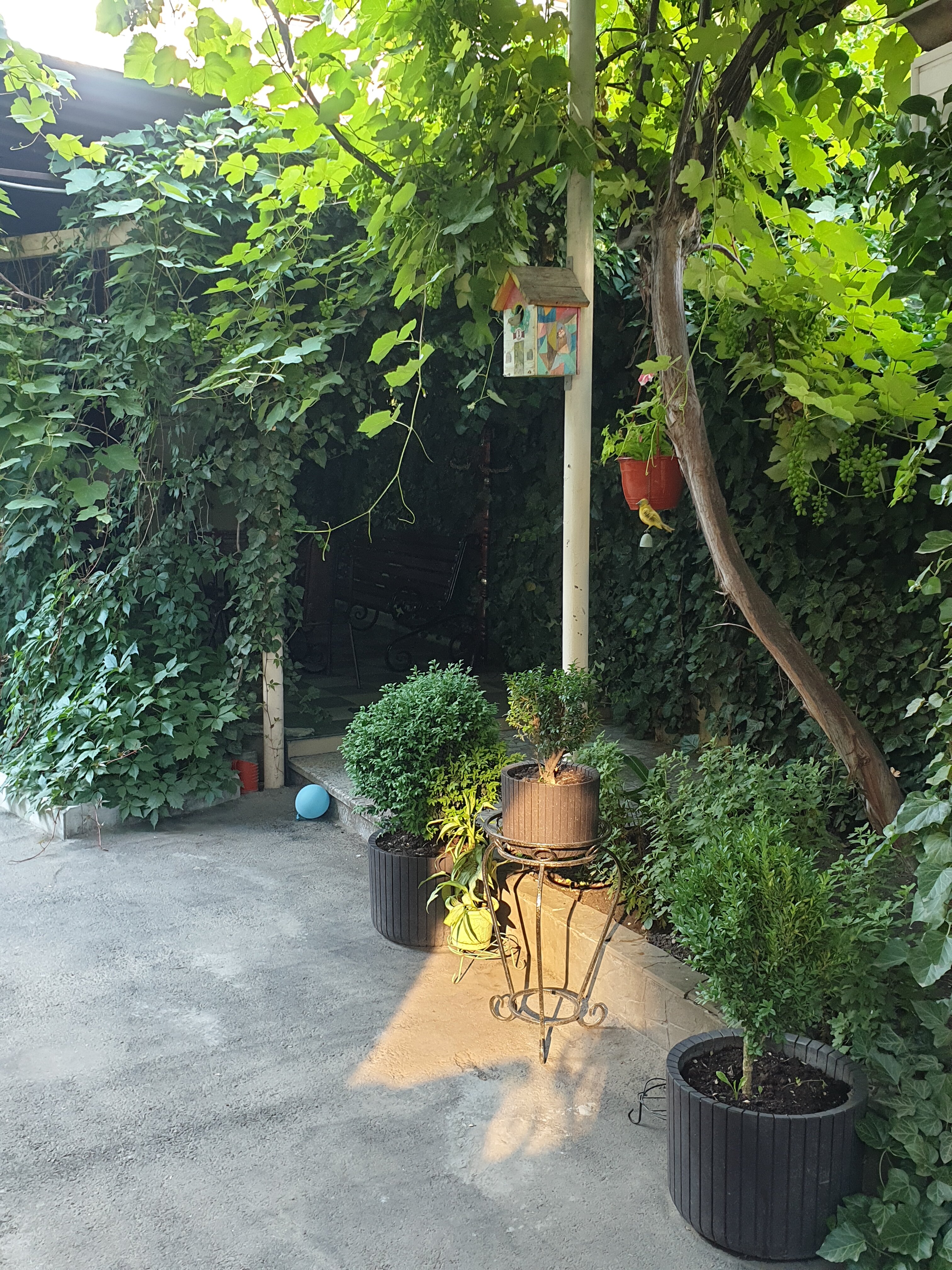 Фото У Нонны