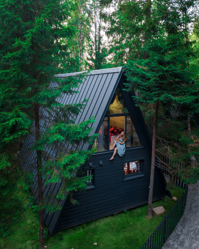 Фото Elki в Новожилово