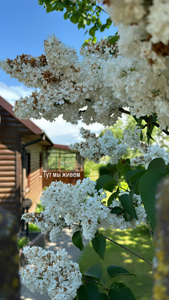 Vacaciones en una granja Агроусадьба Под липами в Дмитровичах, , foto