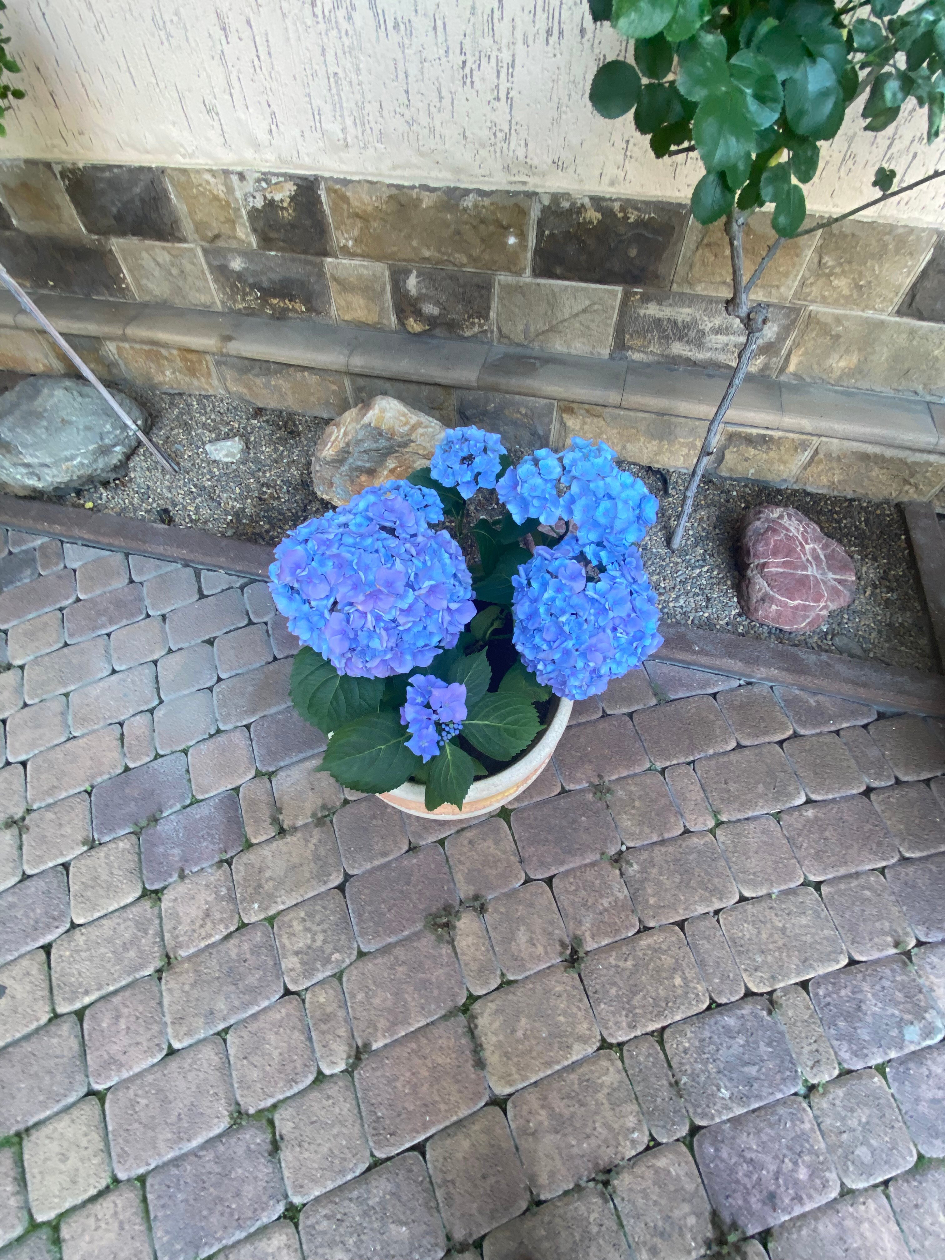 Фото Городок