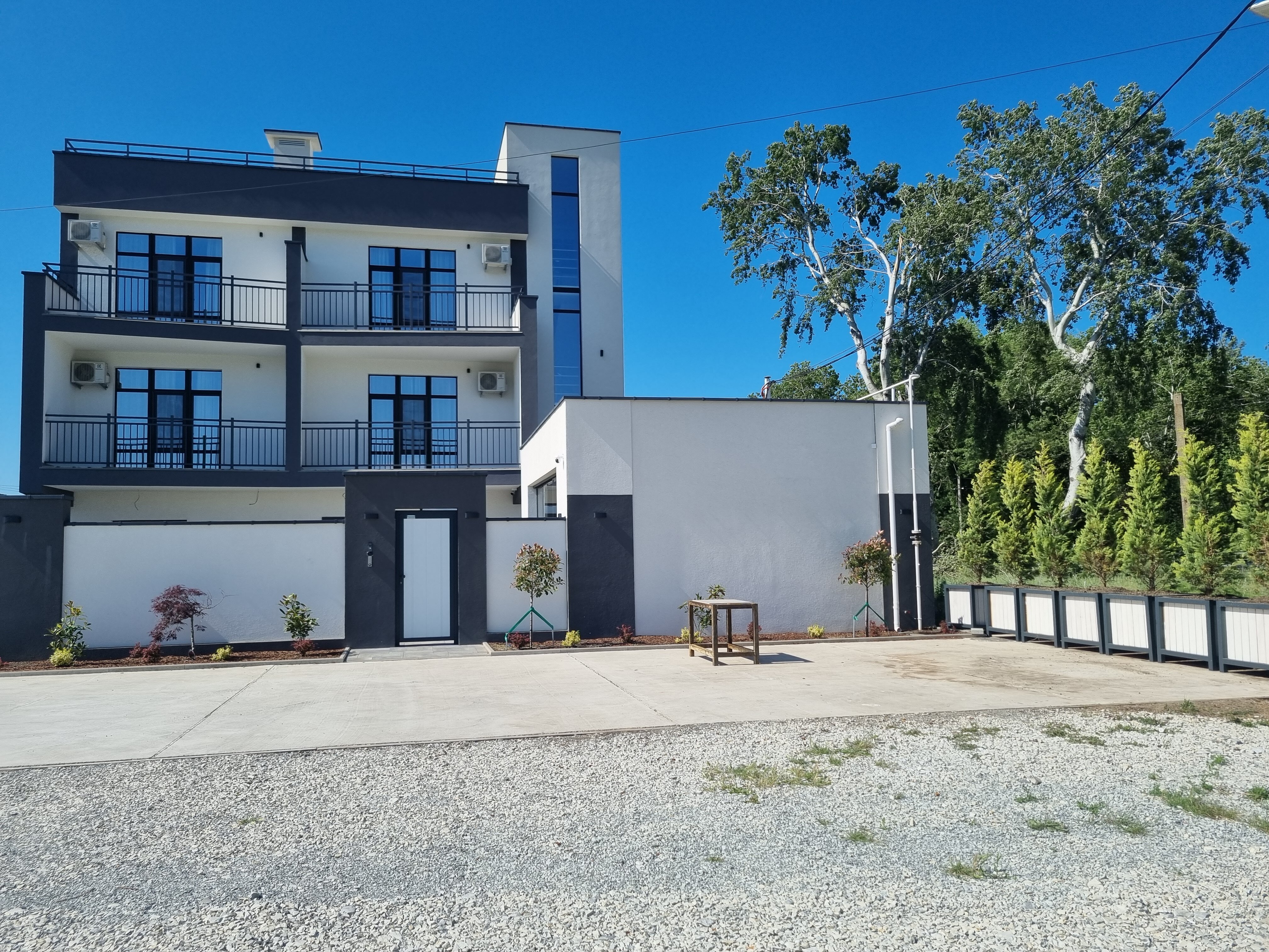 Фото Рафинад