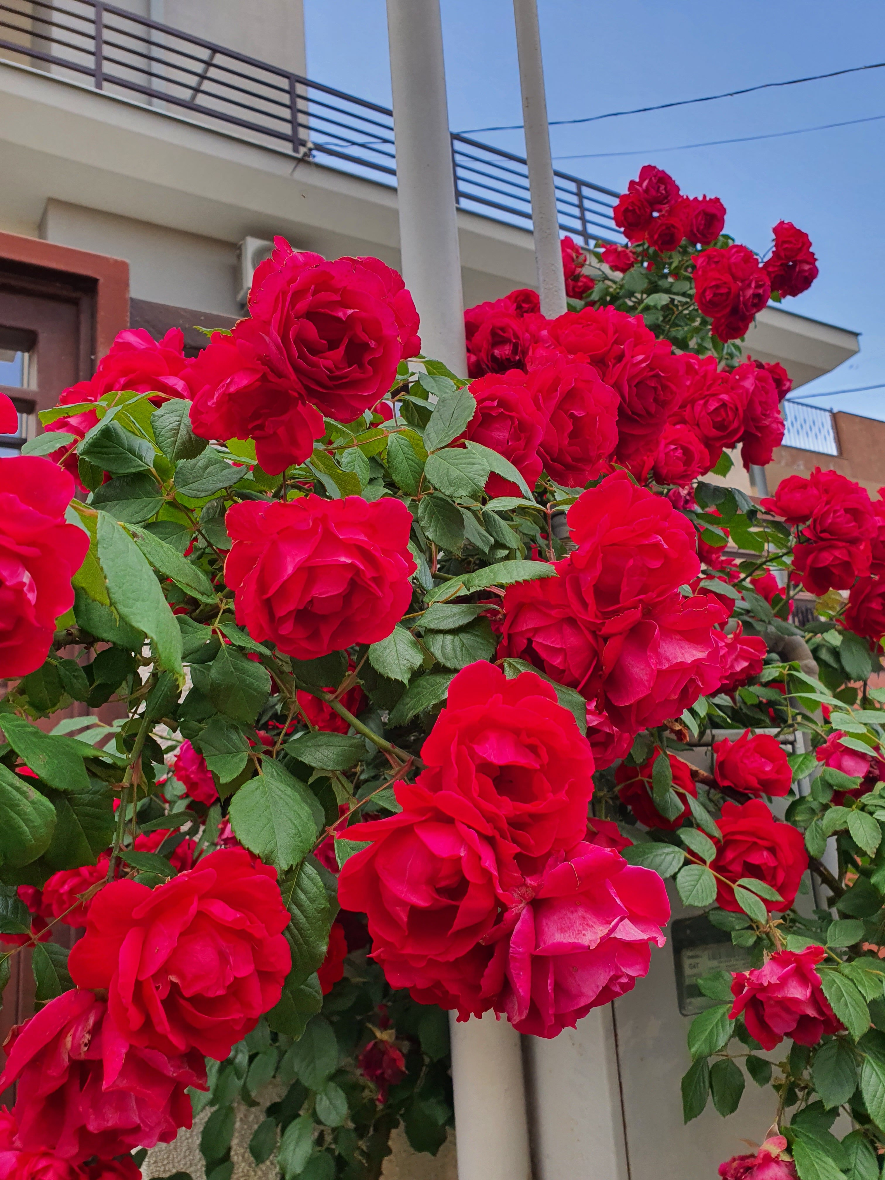 Фото Veronika Home Tbilisi