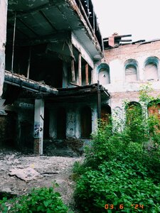 Tula va jinsiy aloqa