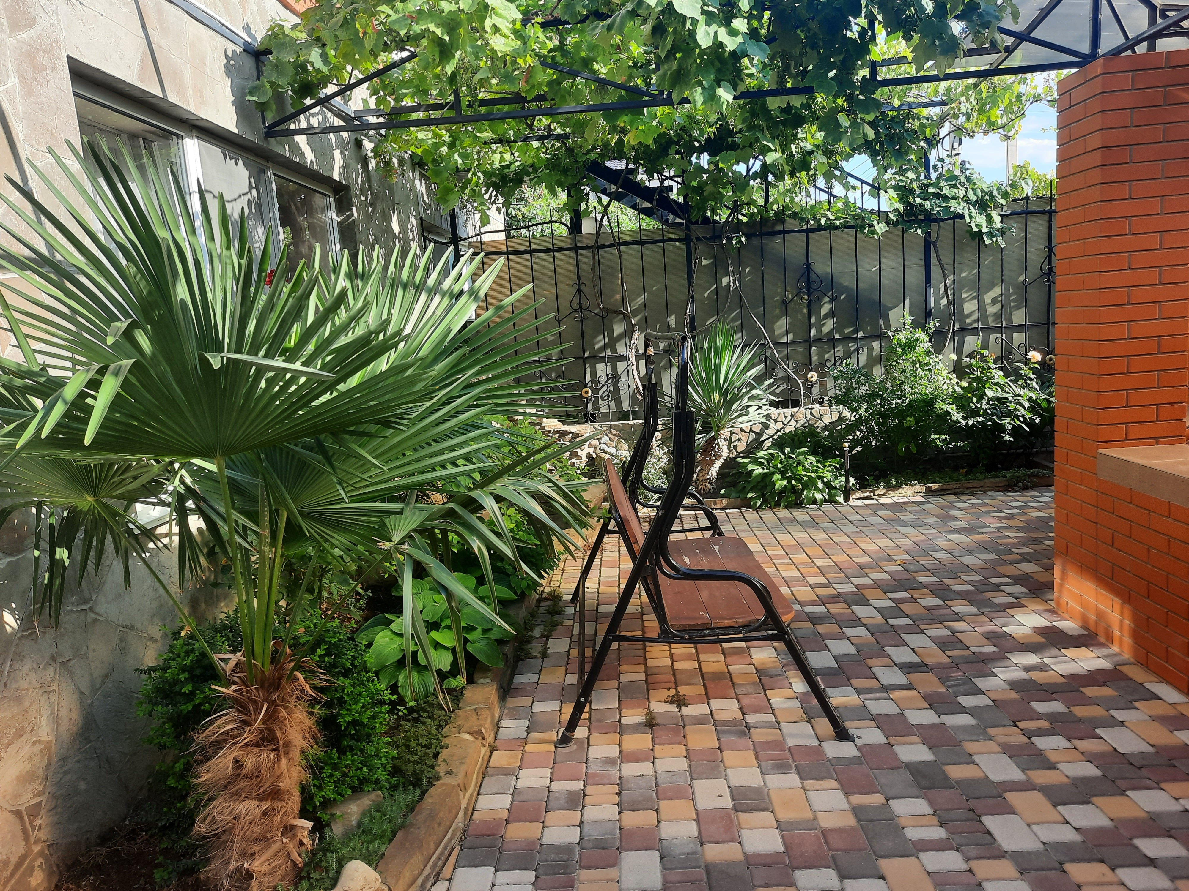 Фото Морской ангел