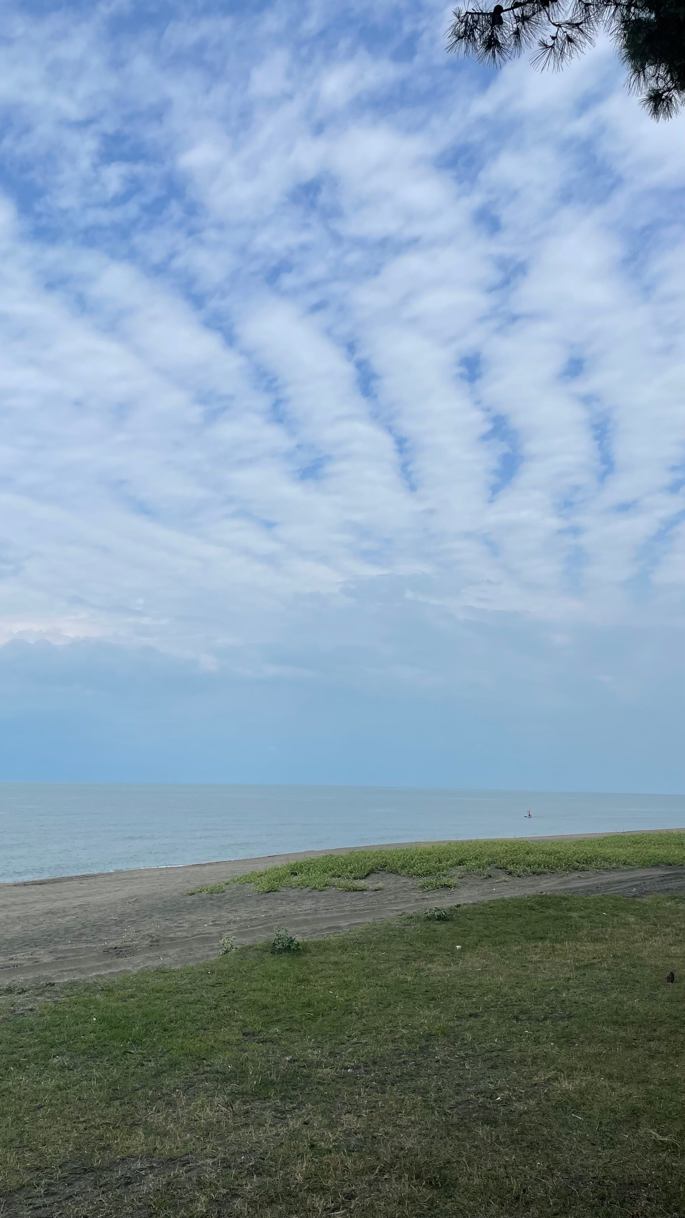 Фото Oxygen Hotel