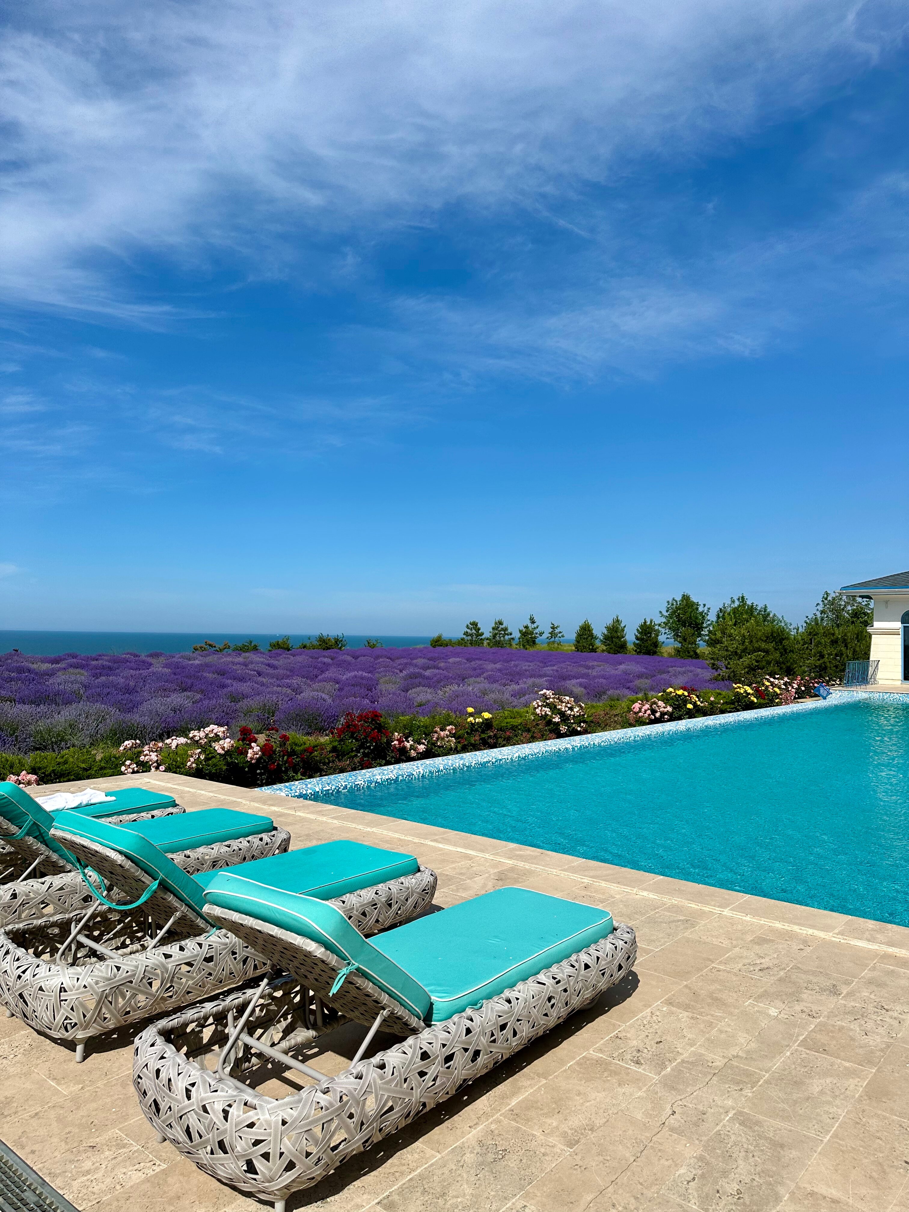 Фото Villa Romanov Wine Club & SPA