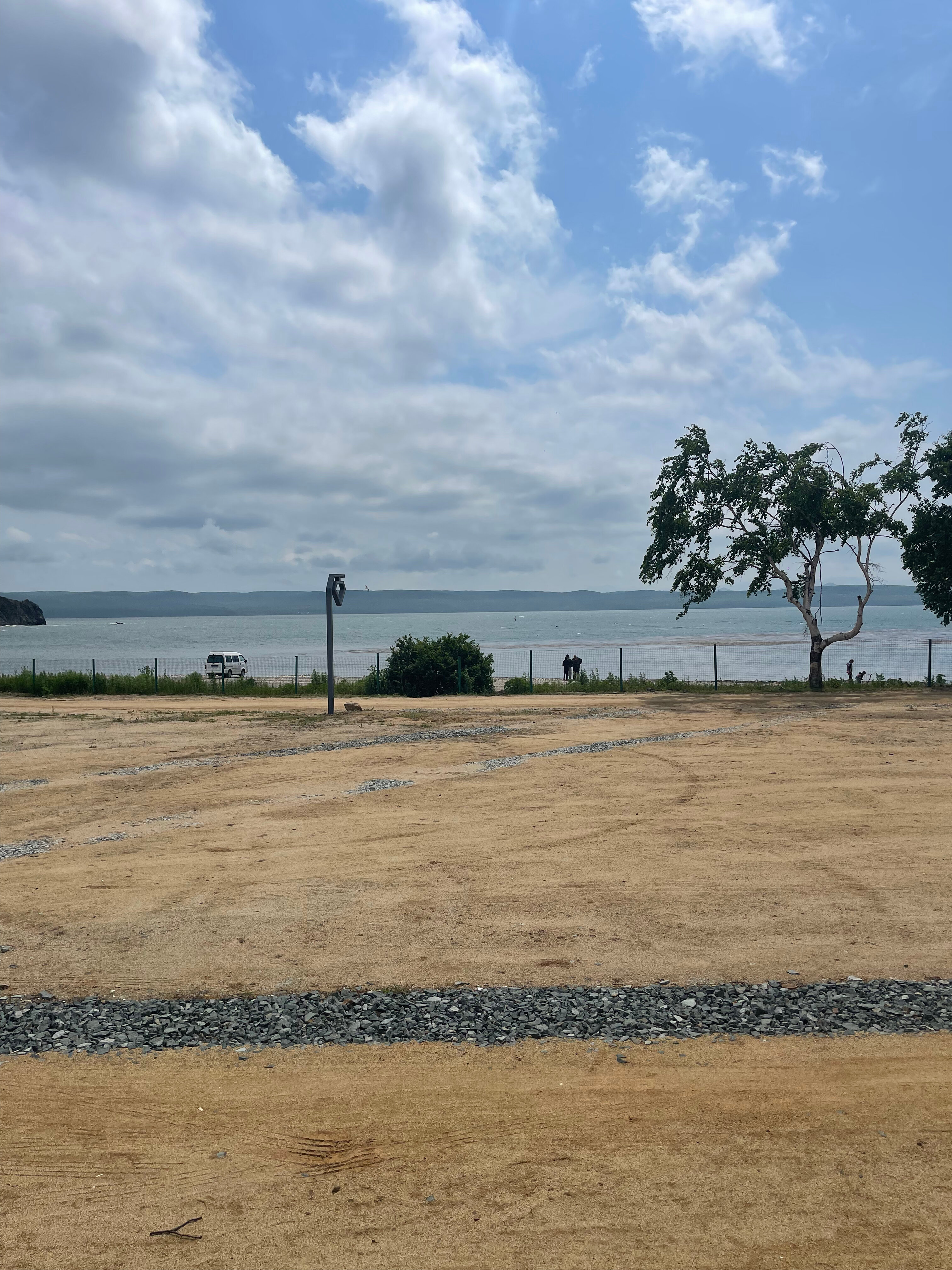 Фото Лазурная черепаха