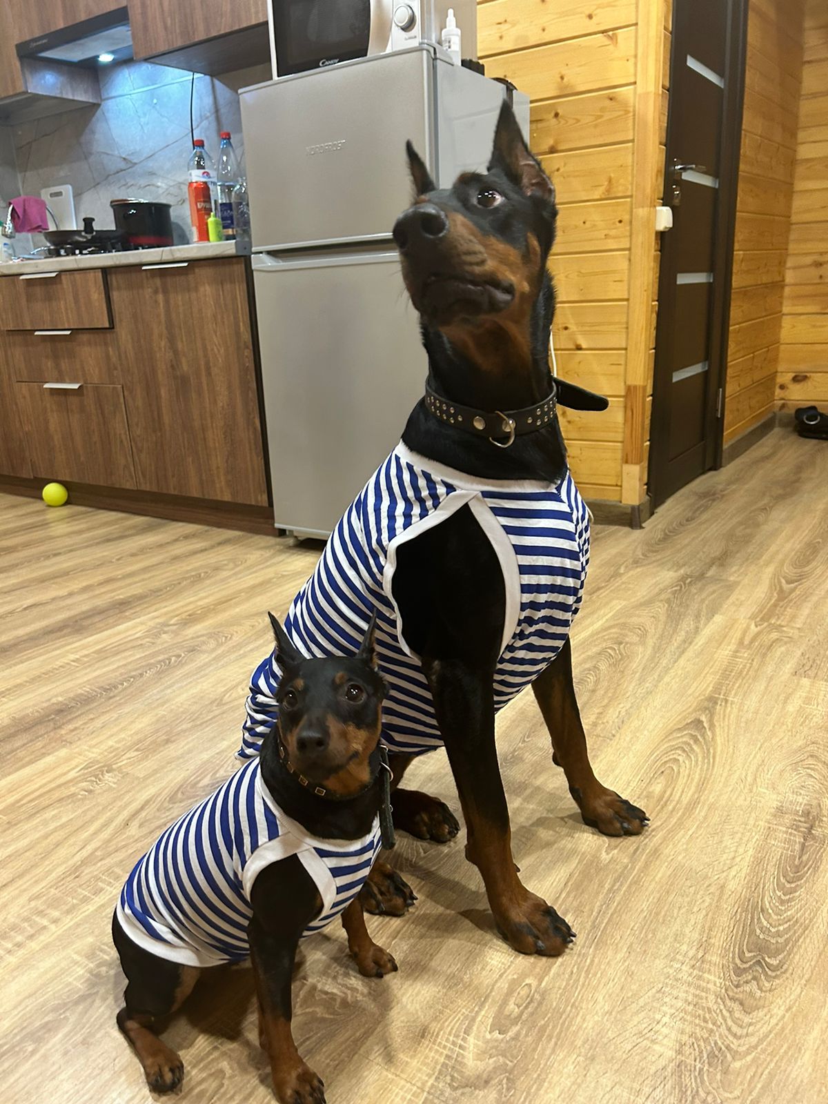 Фото Экодом Макси Диамант+