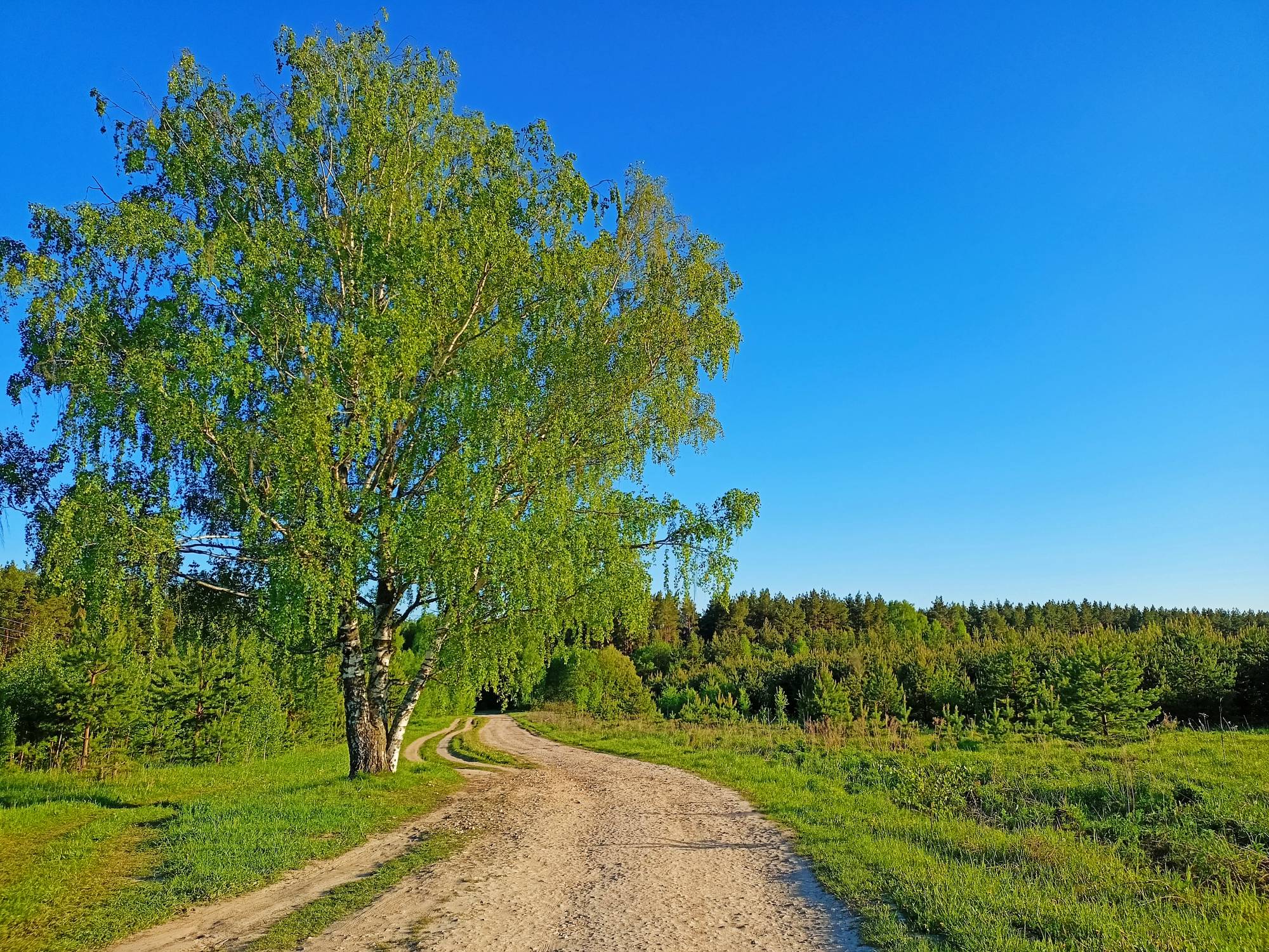 Фото Inles House