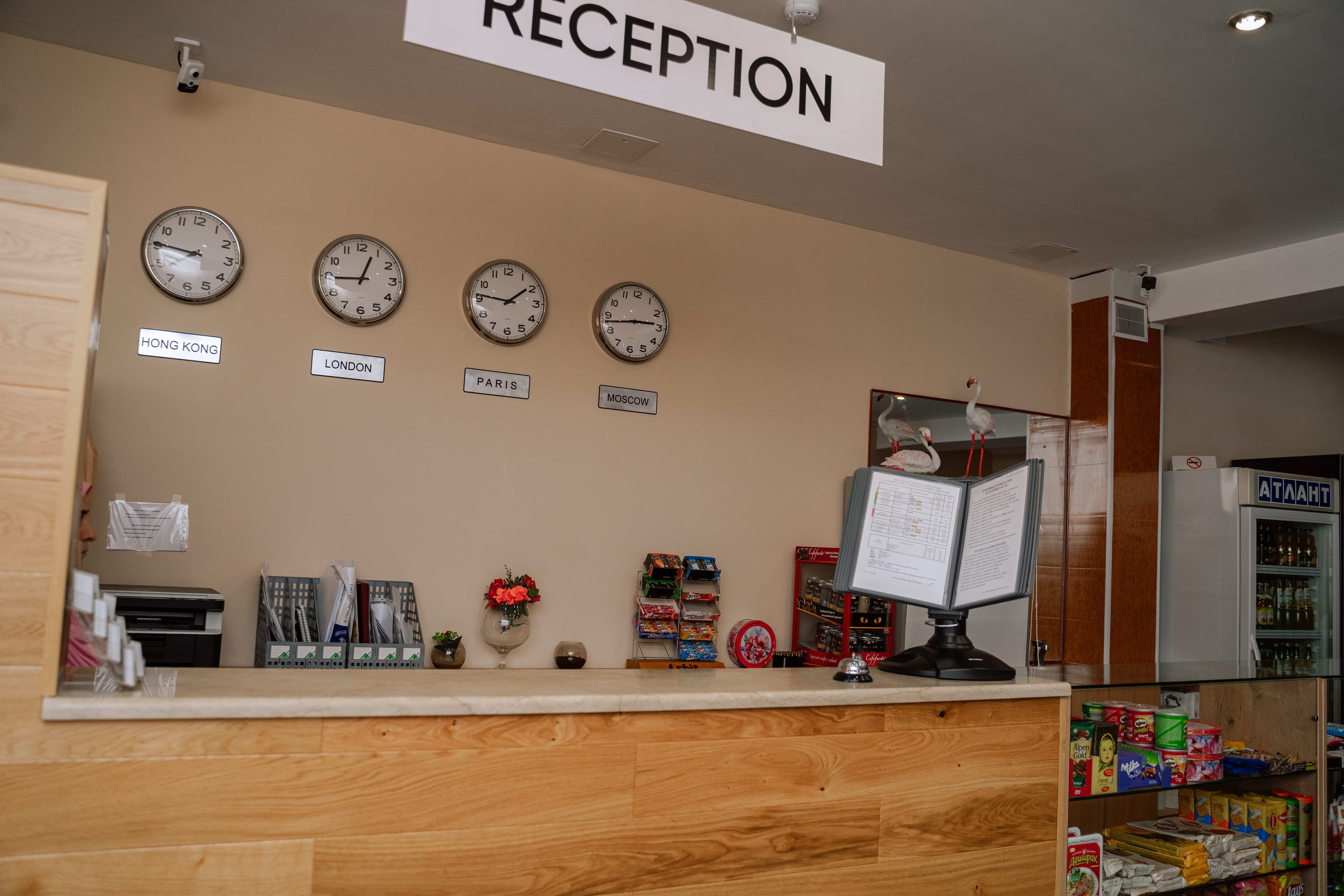 Фото Фламинго