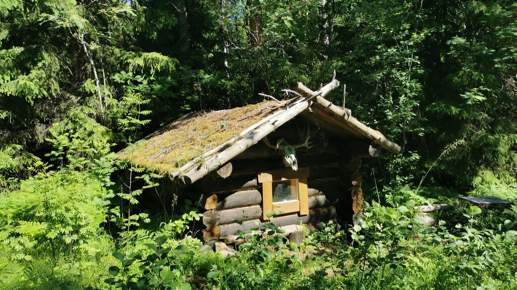 Кемпинг Корела парк, Санкт‑Петербург и Ленинградская область, фото