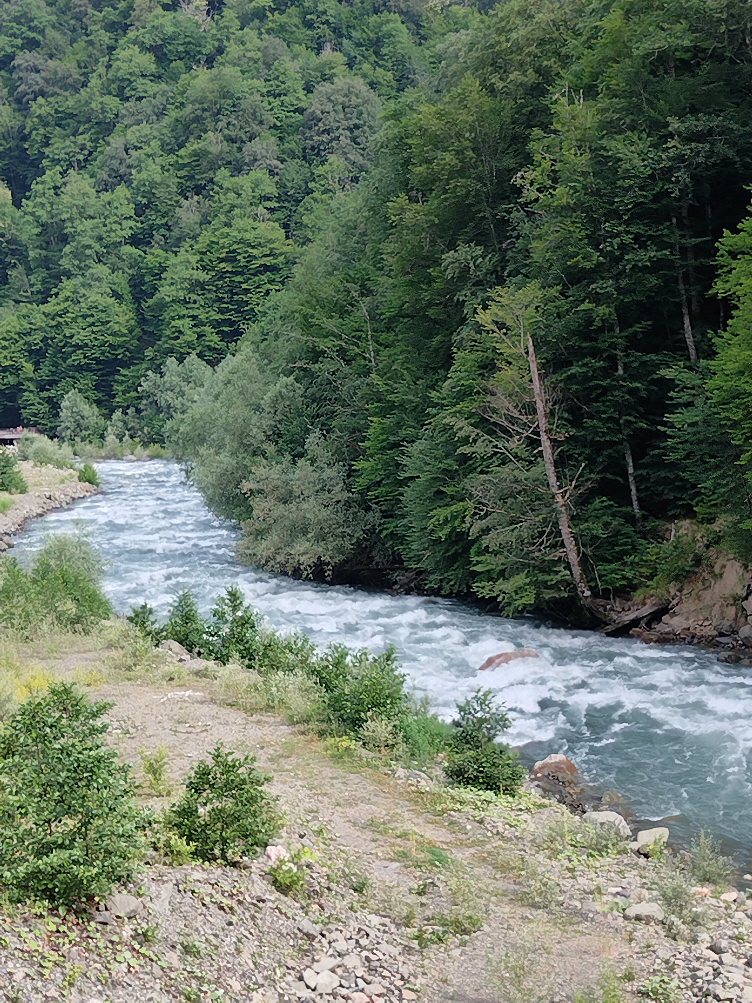 Фото Русские Сезоны Бутик-Отель Лермонтов
