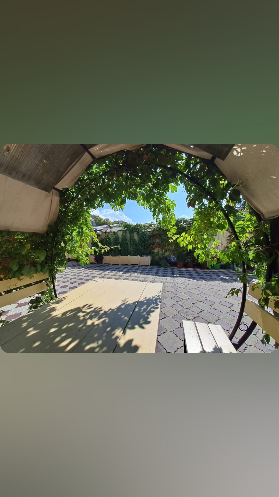 Фото У Эммы