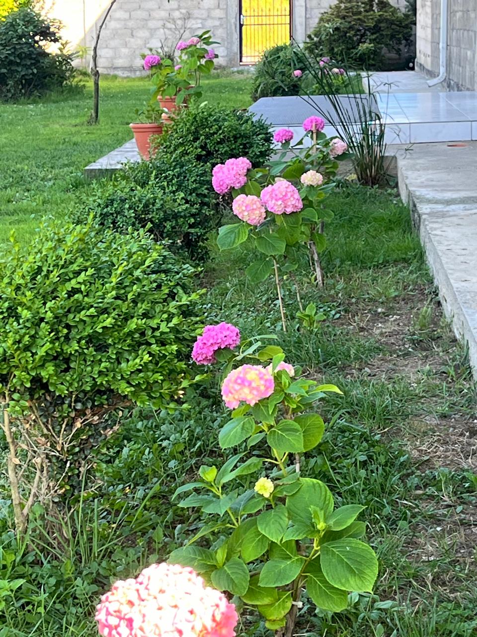 Фото Витторио