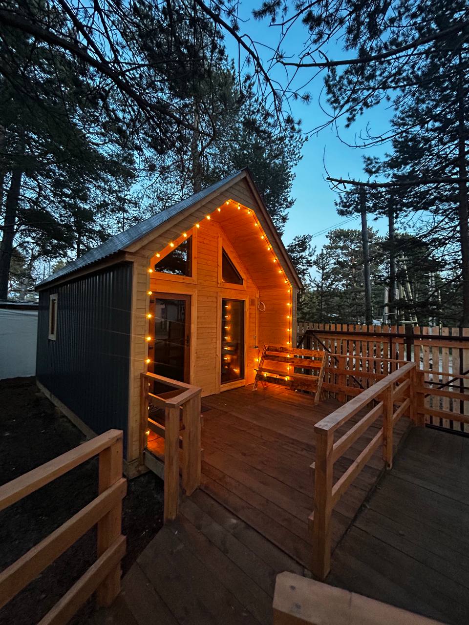 Фото Багульник