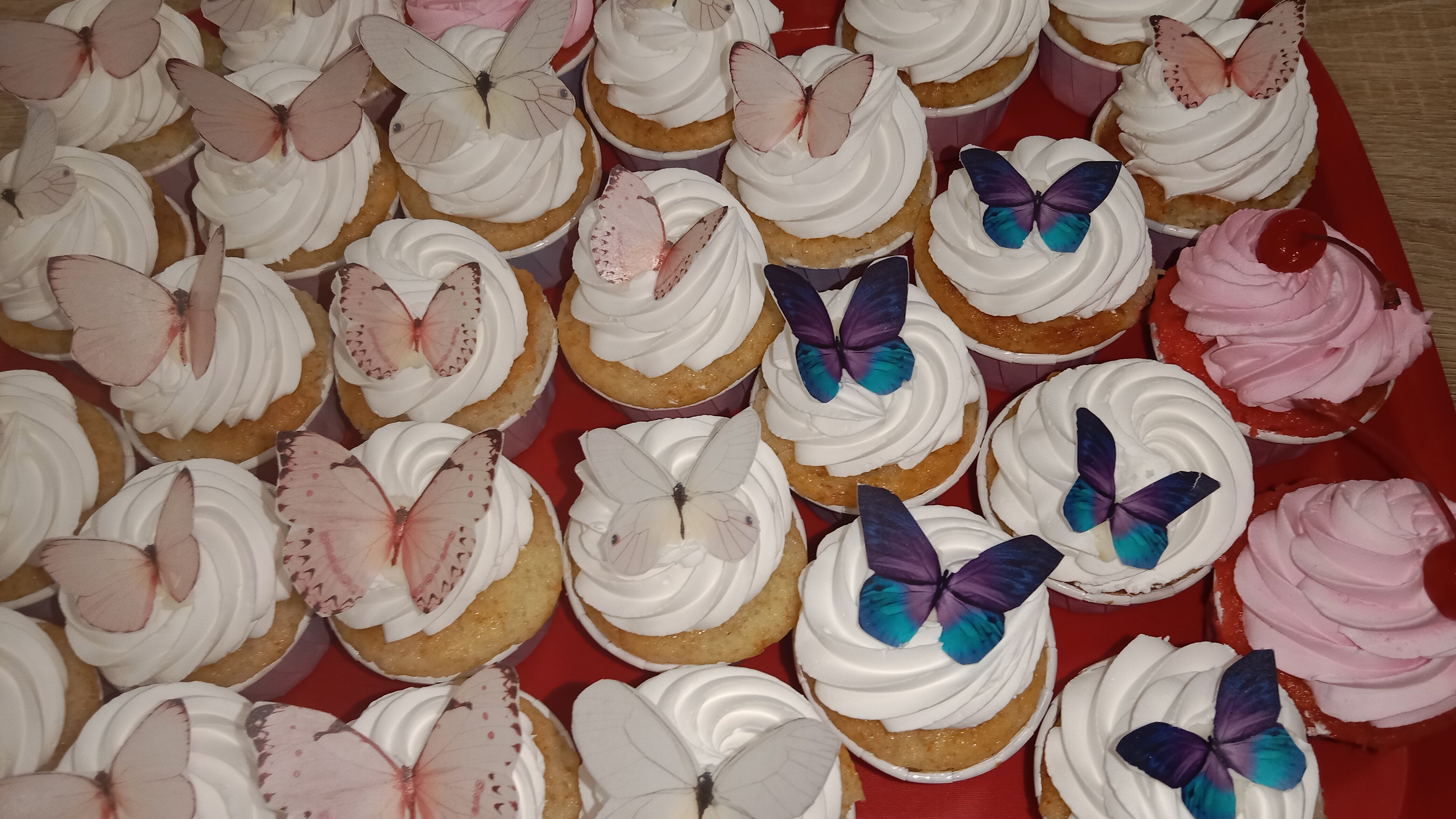 Фото Ромашка