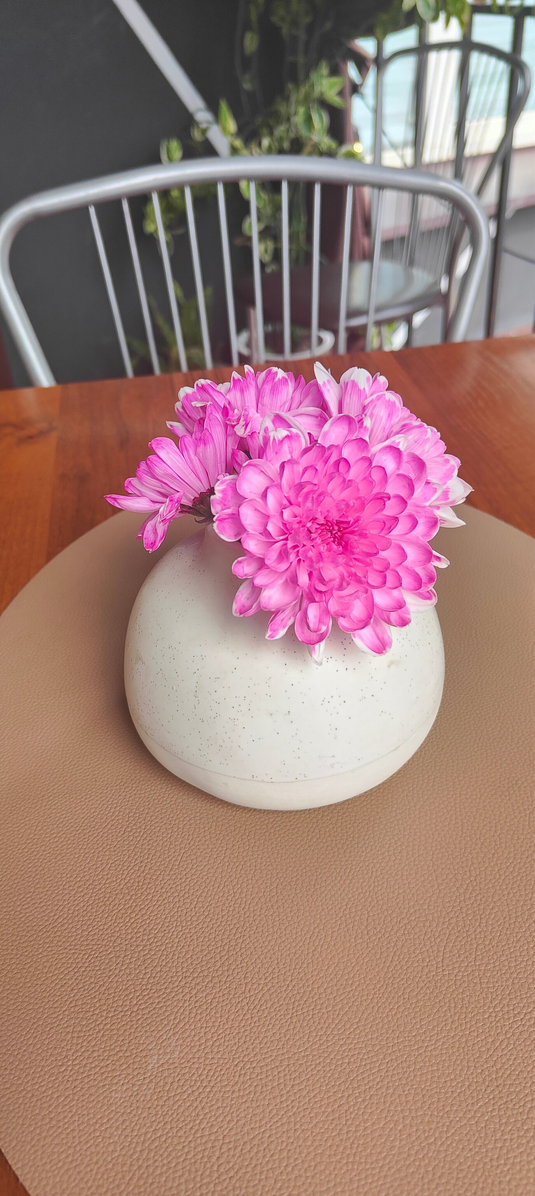 Фото Янушка