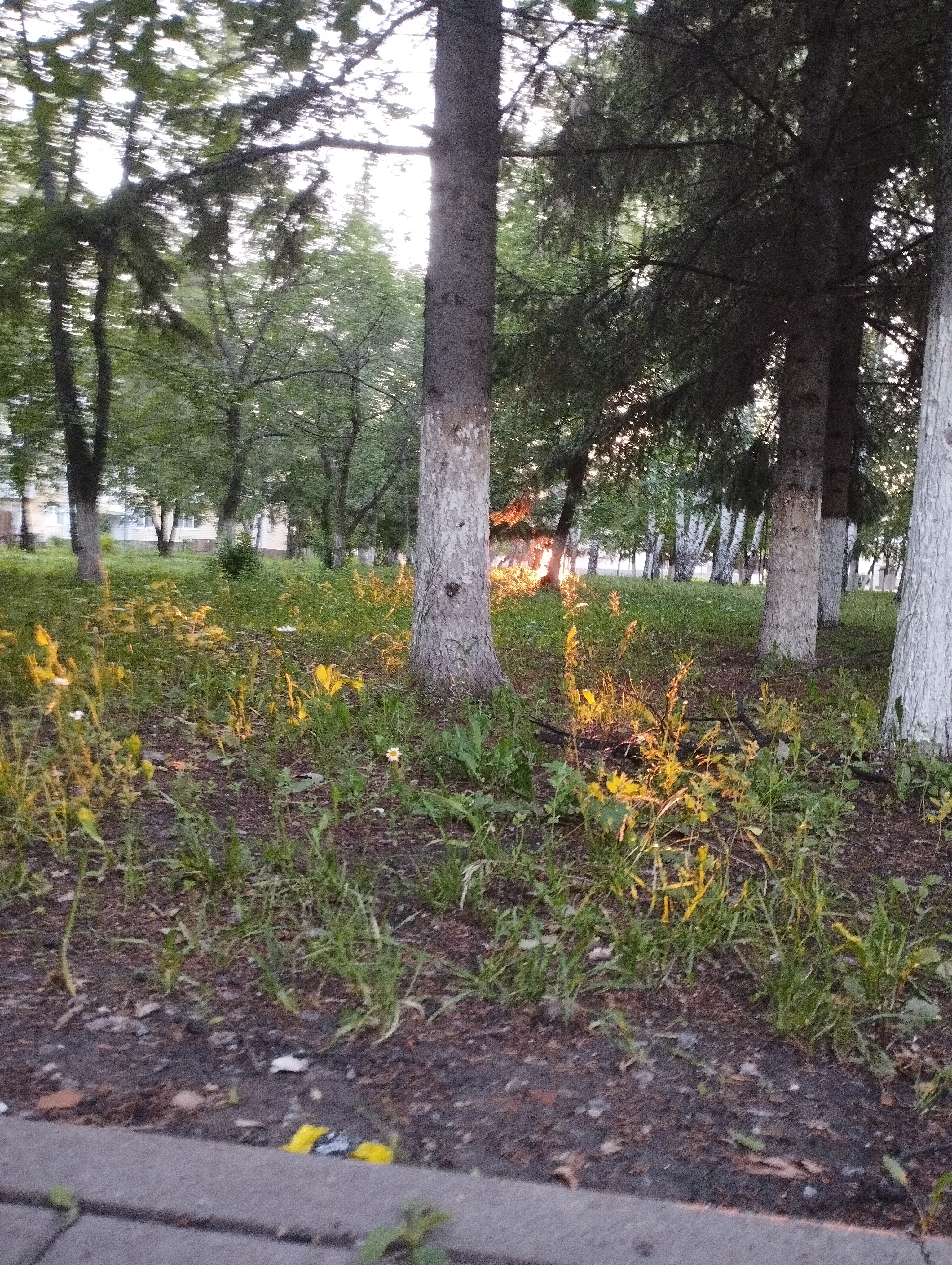 Фото Гостиница Актаныш