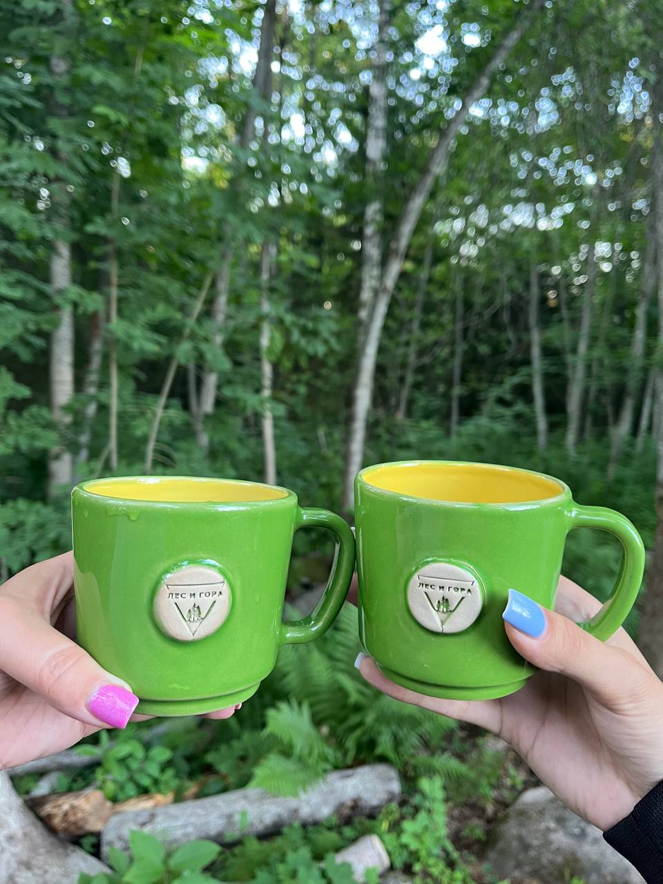 Фото Лес и Гора