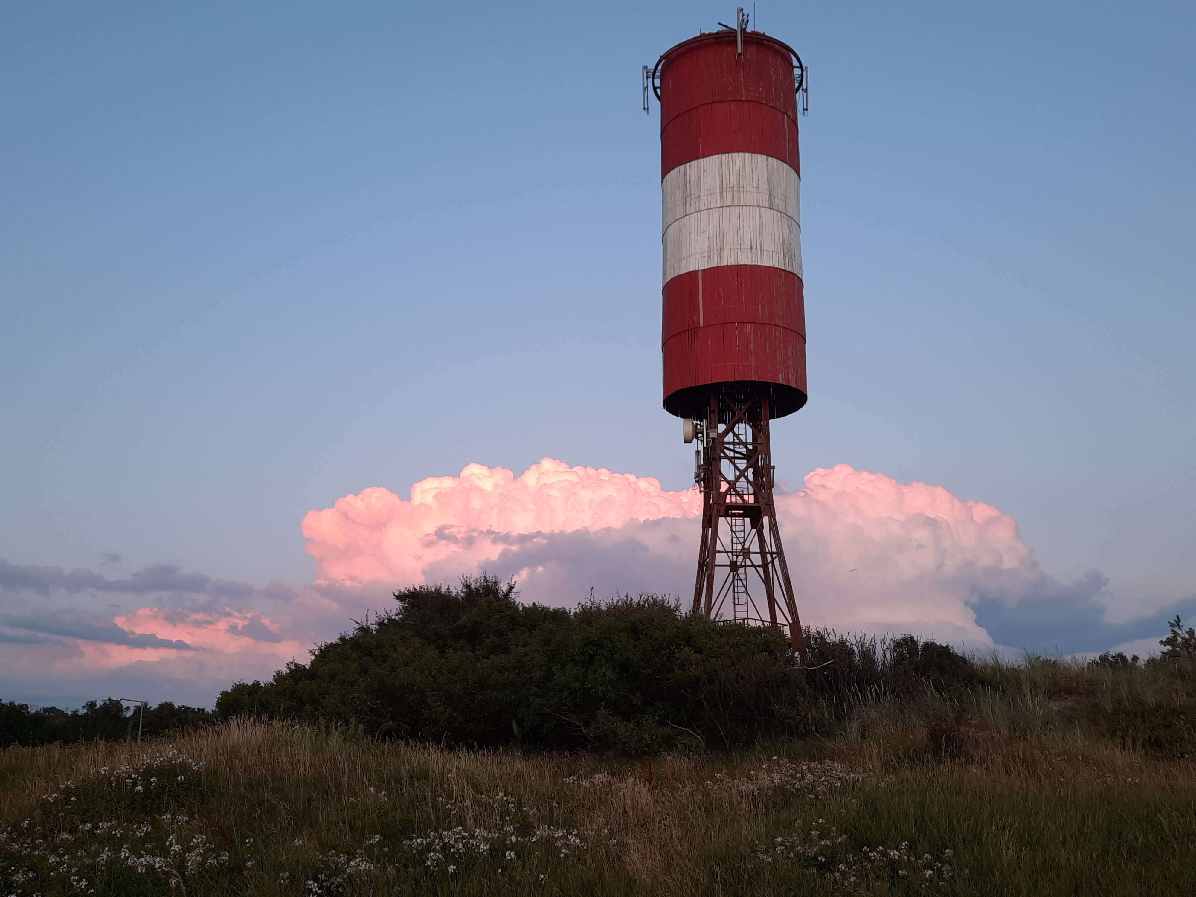 Фото Элиза Заркау