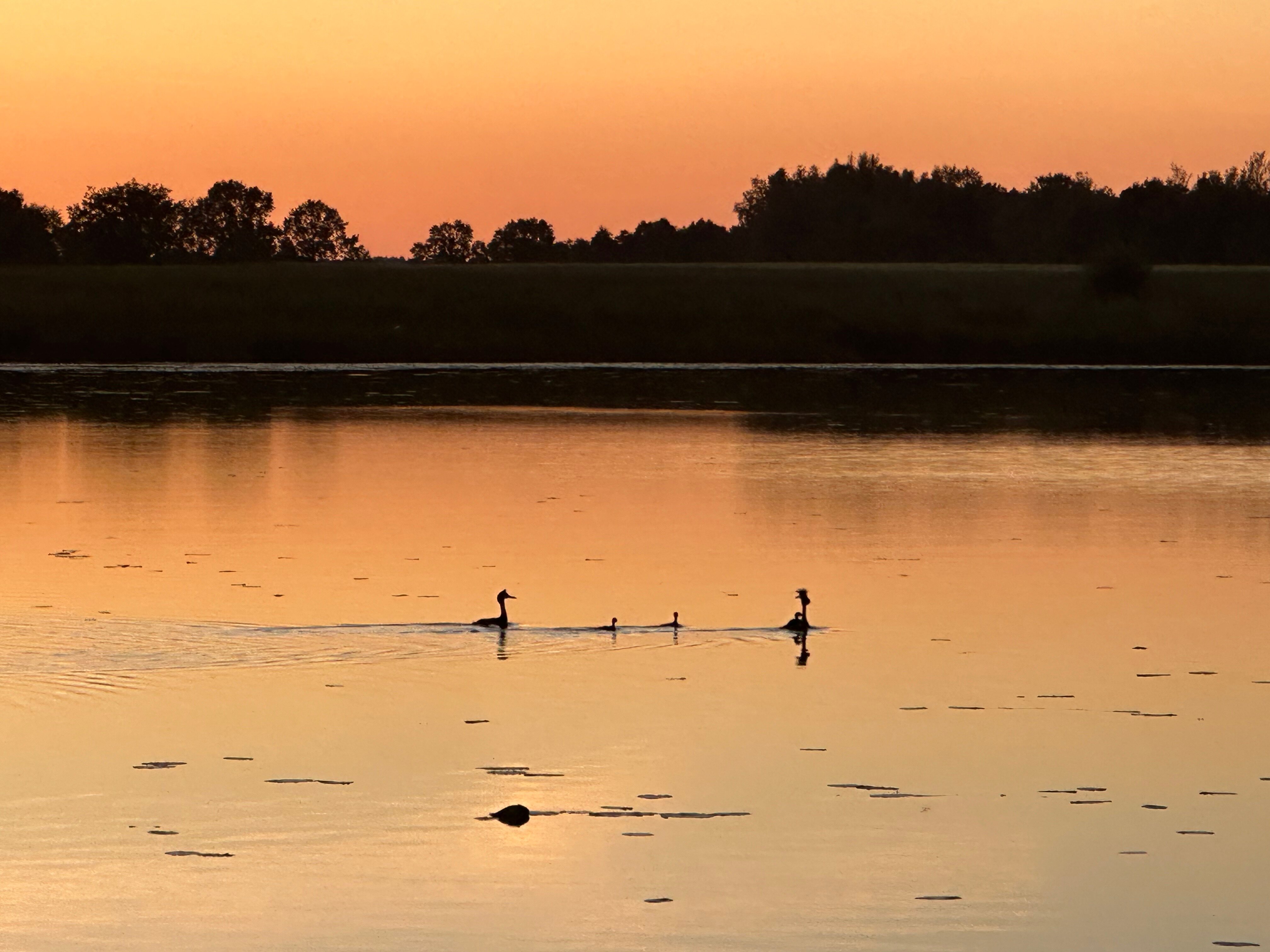 Фото Три медведя