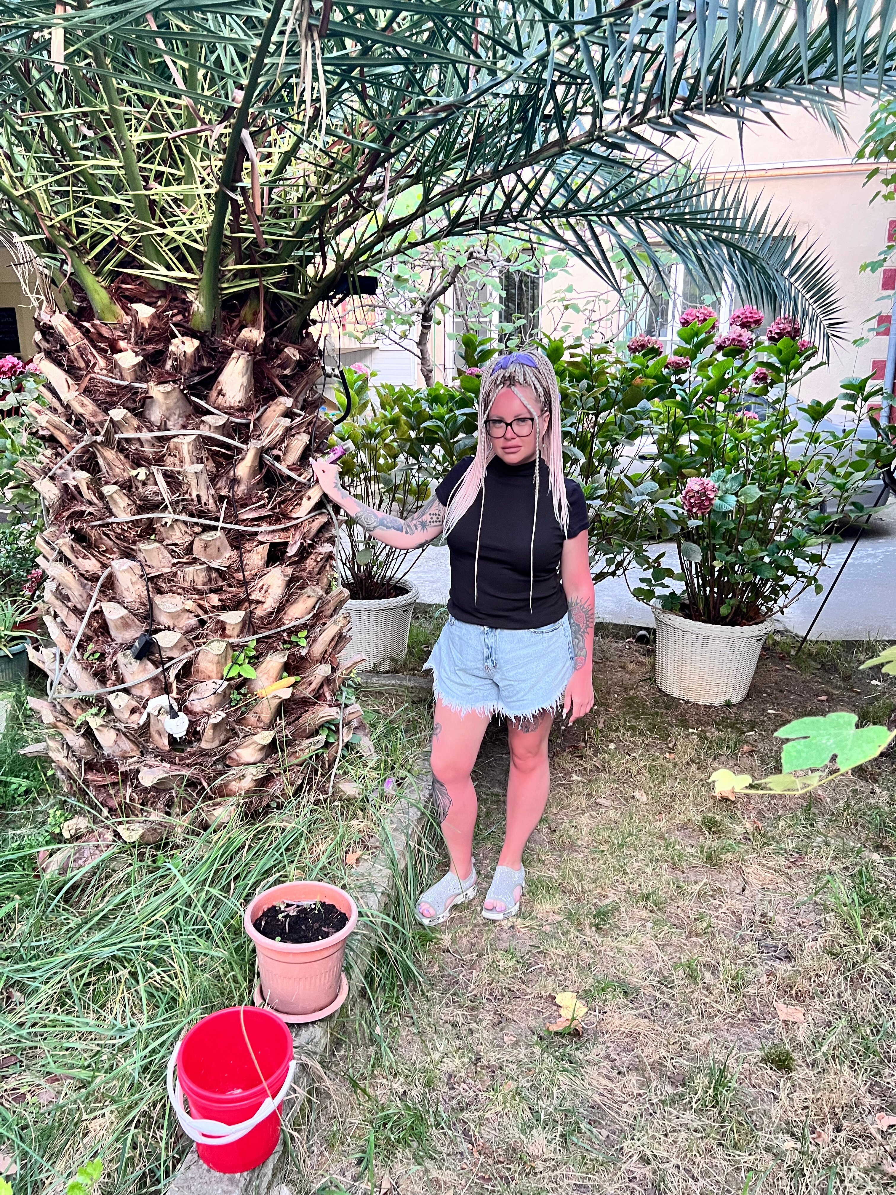 Фото Гостевой дом Фиеста