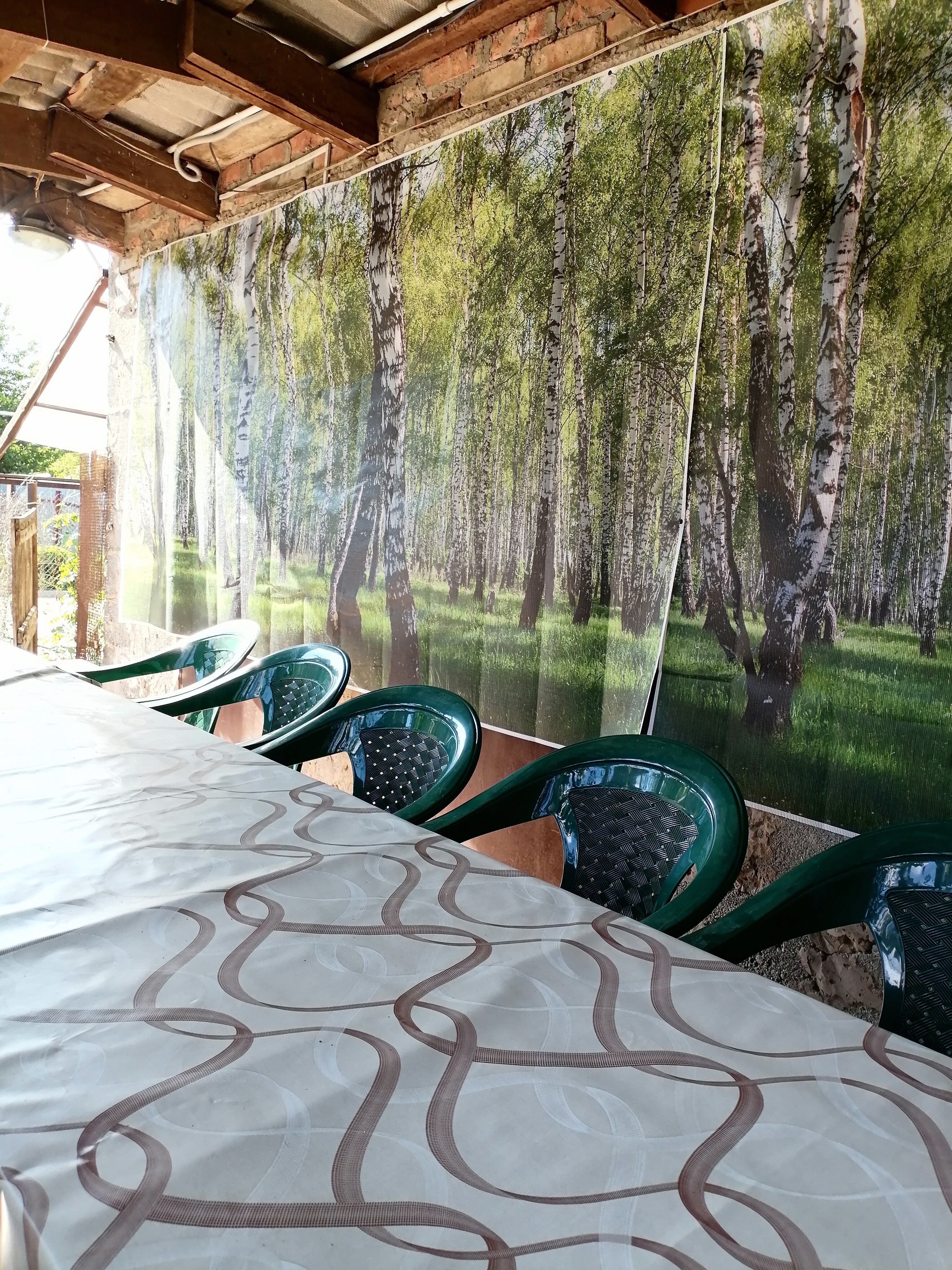 Фото У Галины