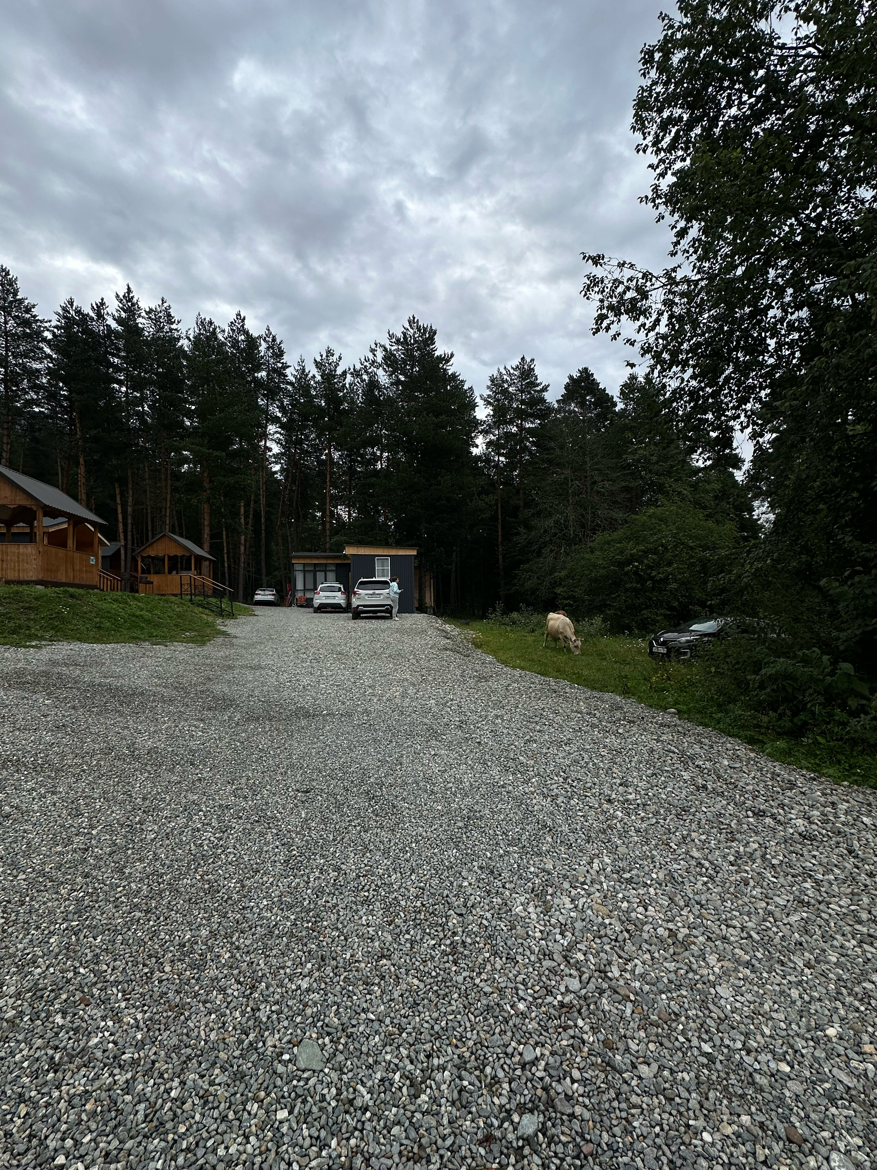 Фото Paradise Forest