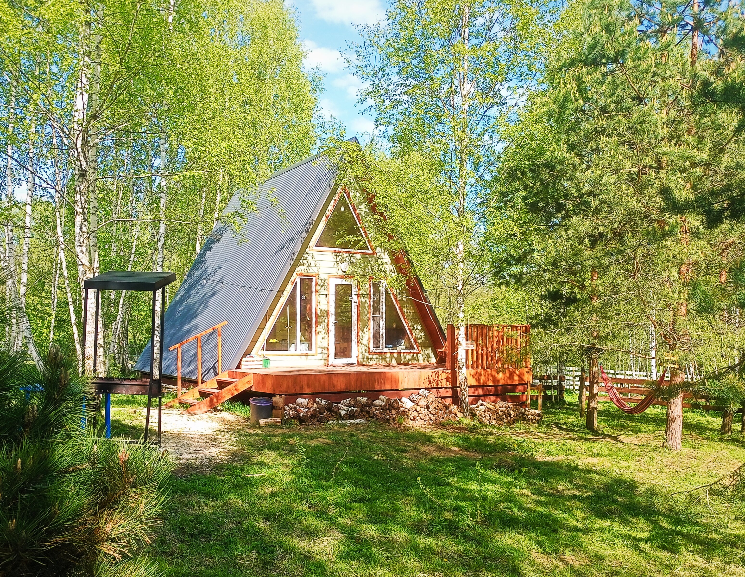 Фото Хвойный парк