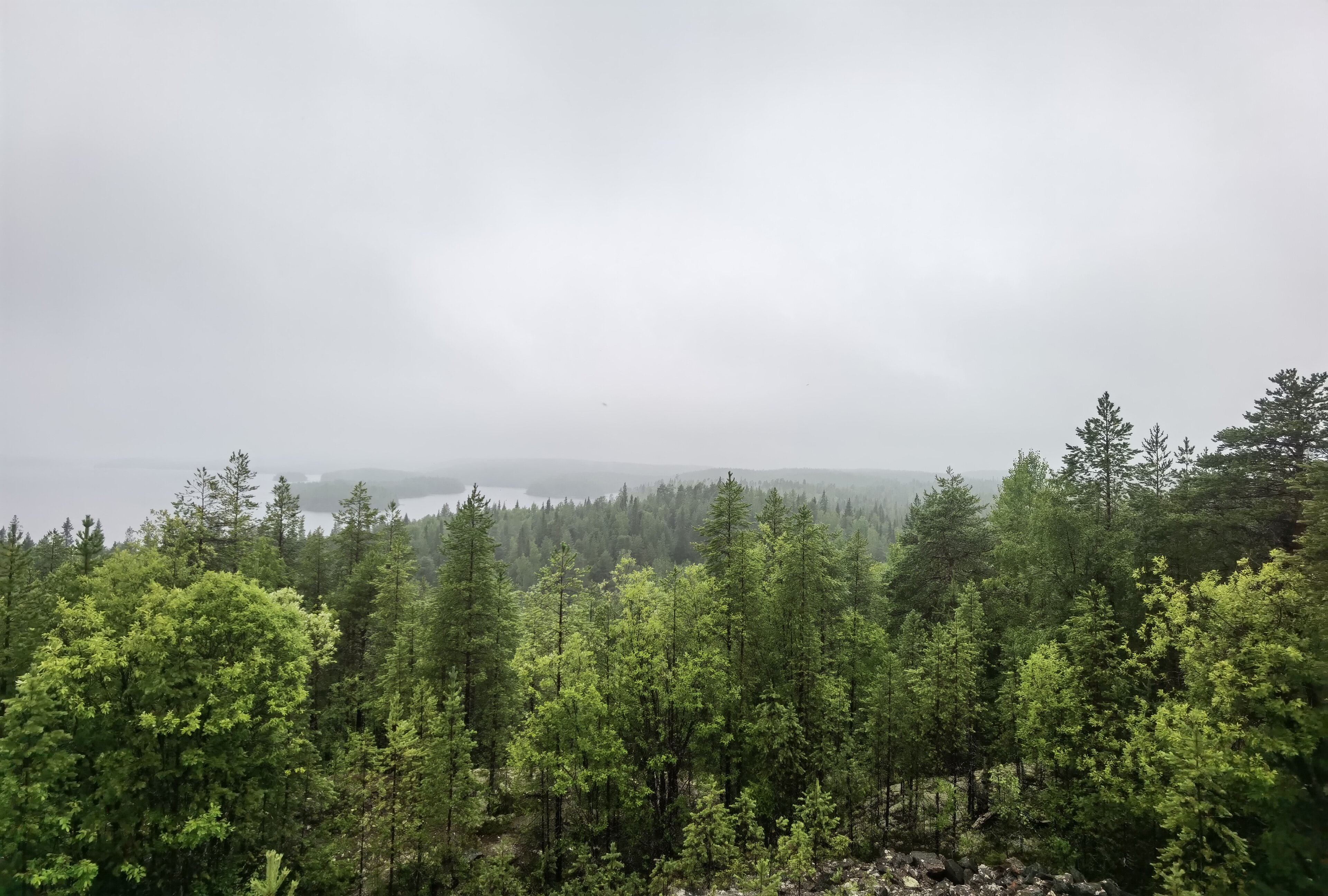 Фото Нереис