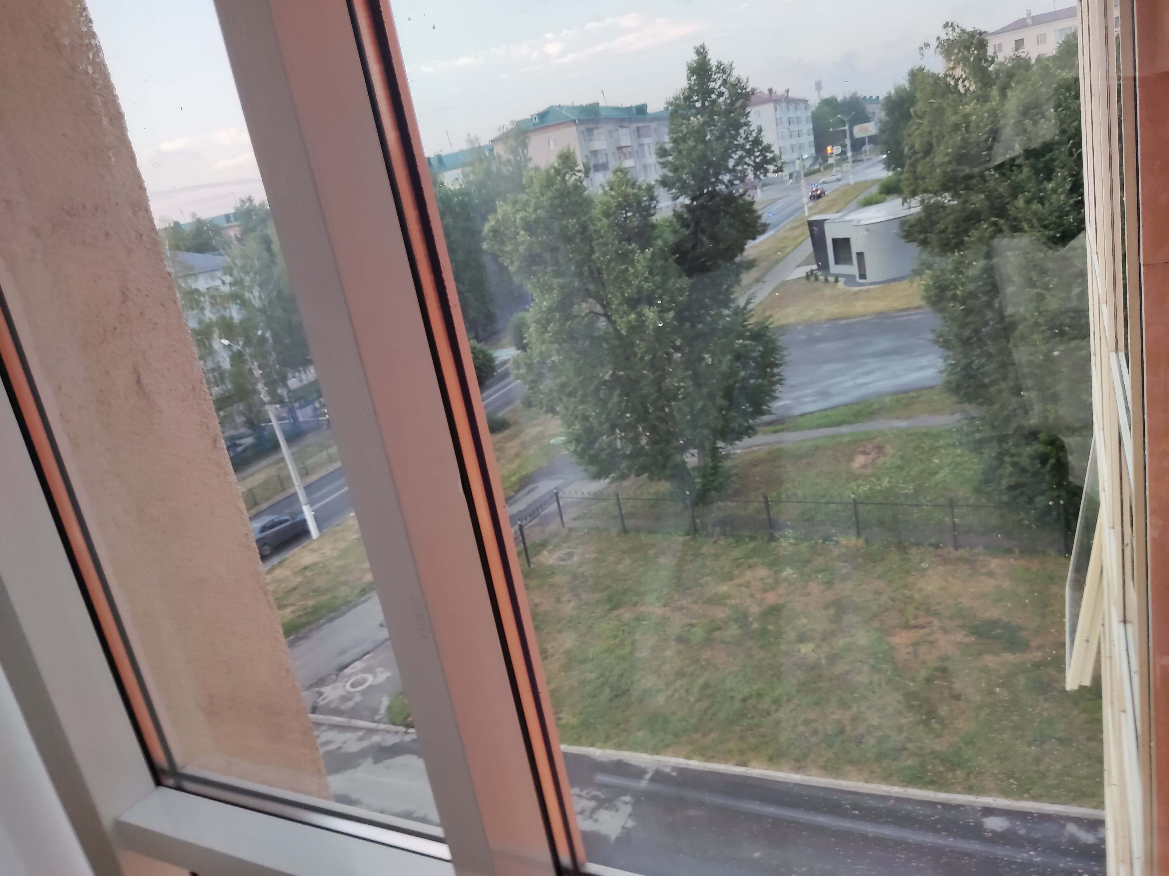 Фото Дубрава