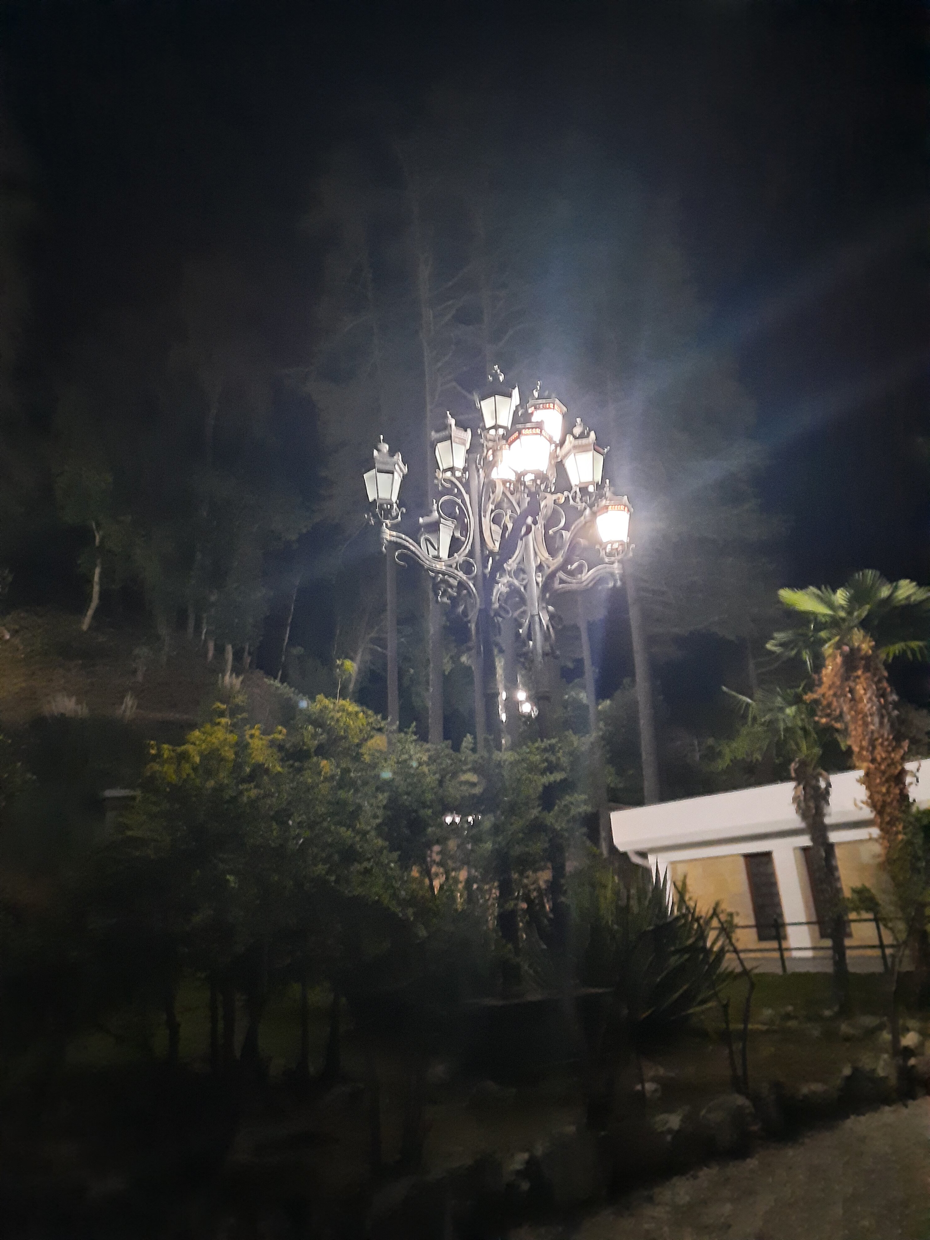 Фото Госдача Мюссера