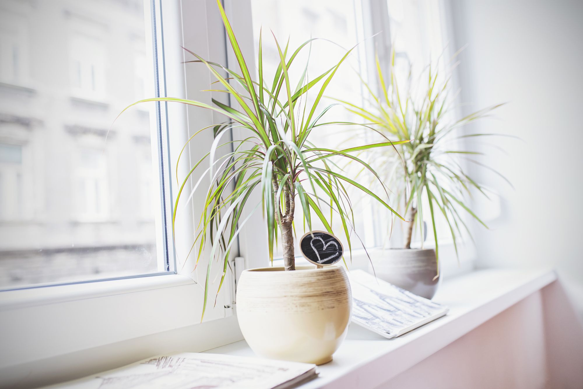 Фото The Dots Hostel