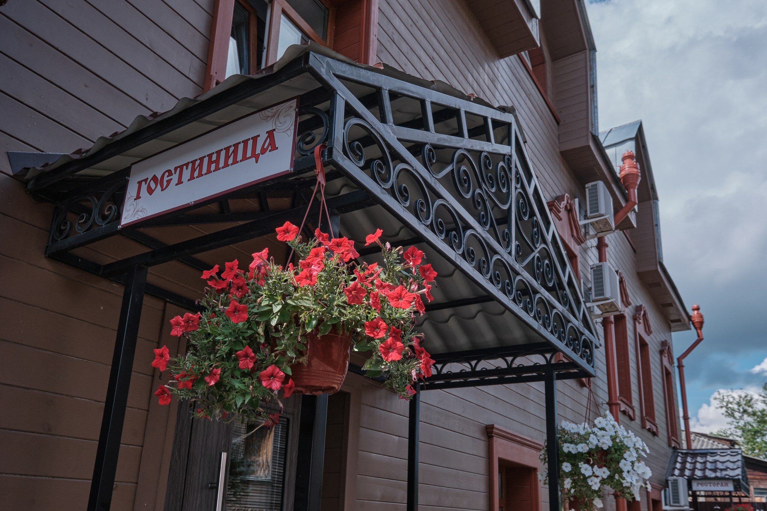 Фото Морошка