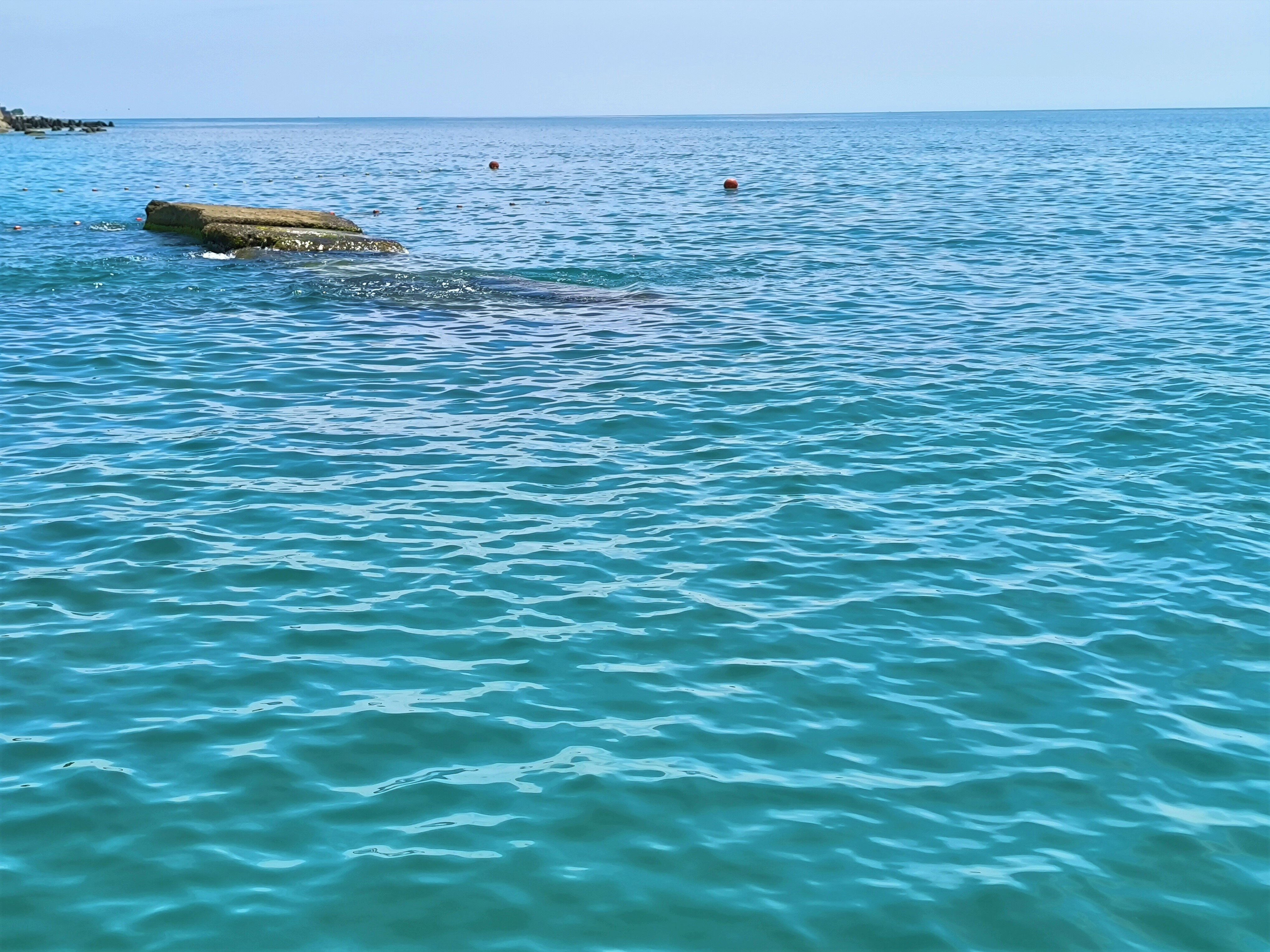 Фото У Кедра