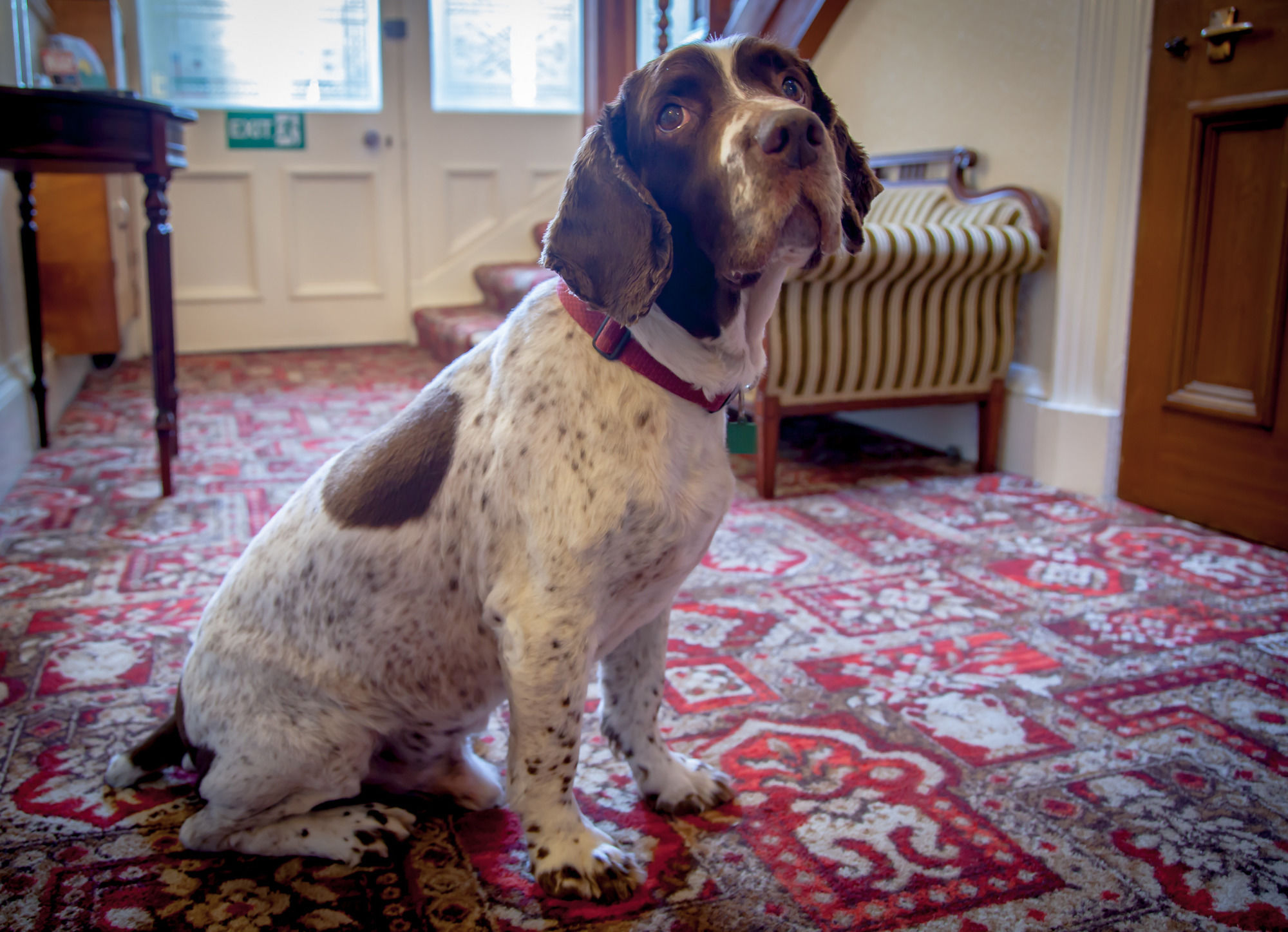 Фото Kingsley Edinburgh