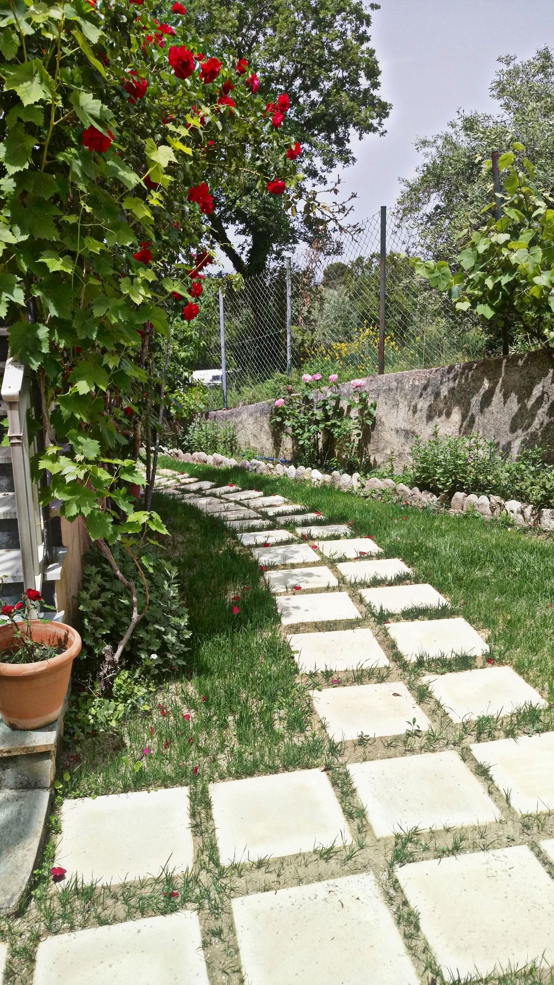 Фото Corfu Villa Rainbow