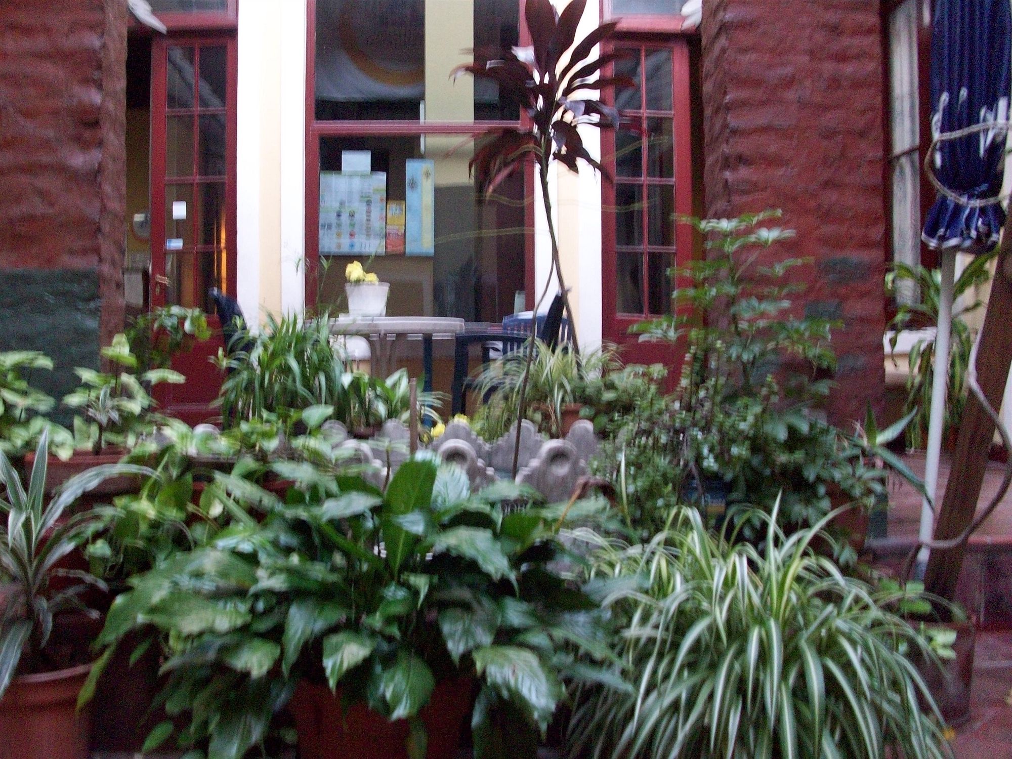 Фото Santino Recoleta