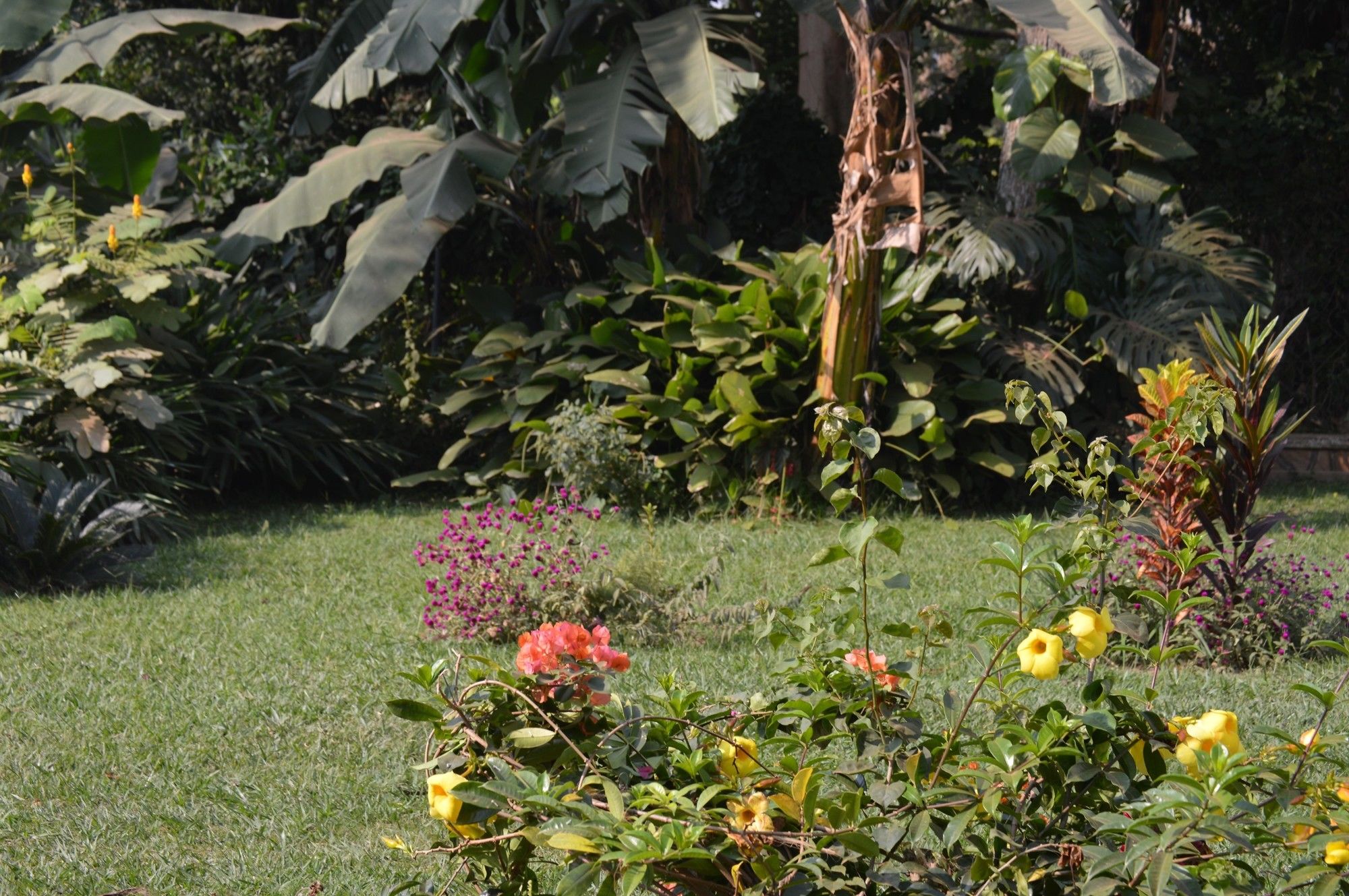 Фото Colonial Residence