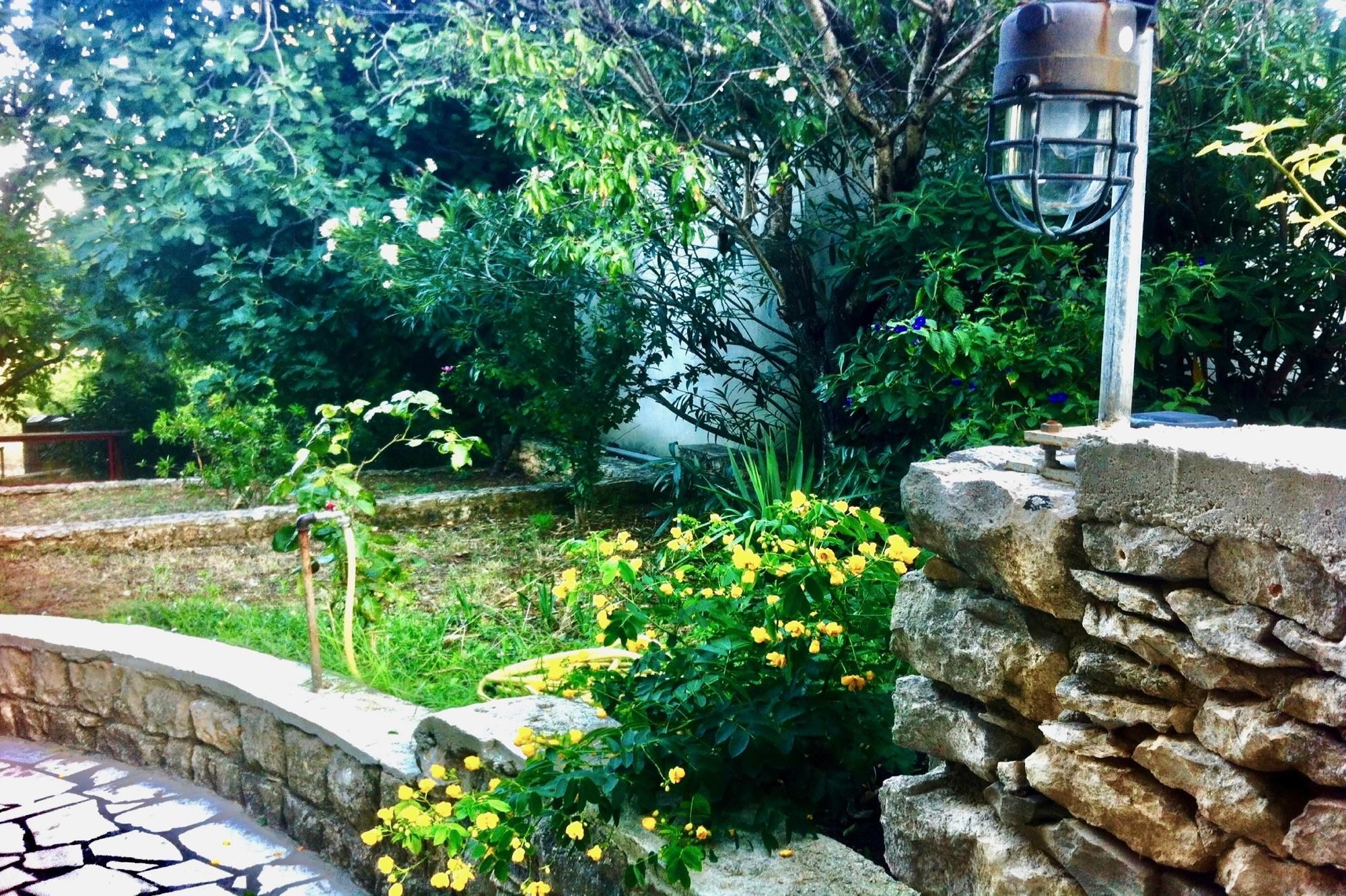 Фото Dunja Apartments