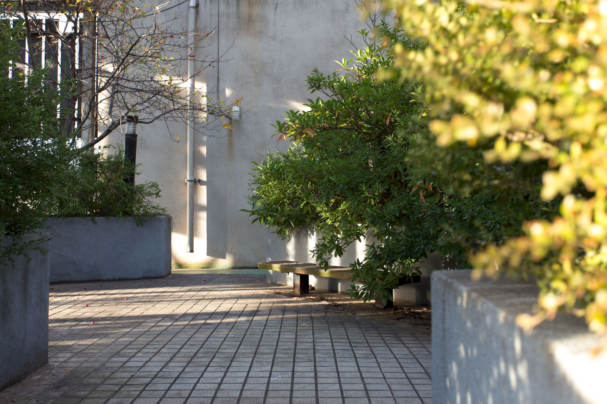 Фото Benikea Hotel Pohang