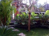 Фото Uma Dewi Guest House