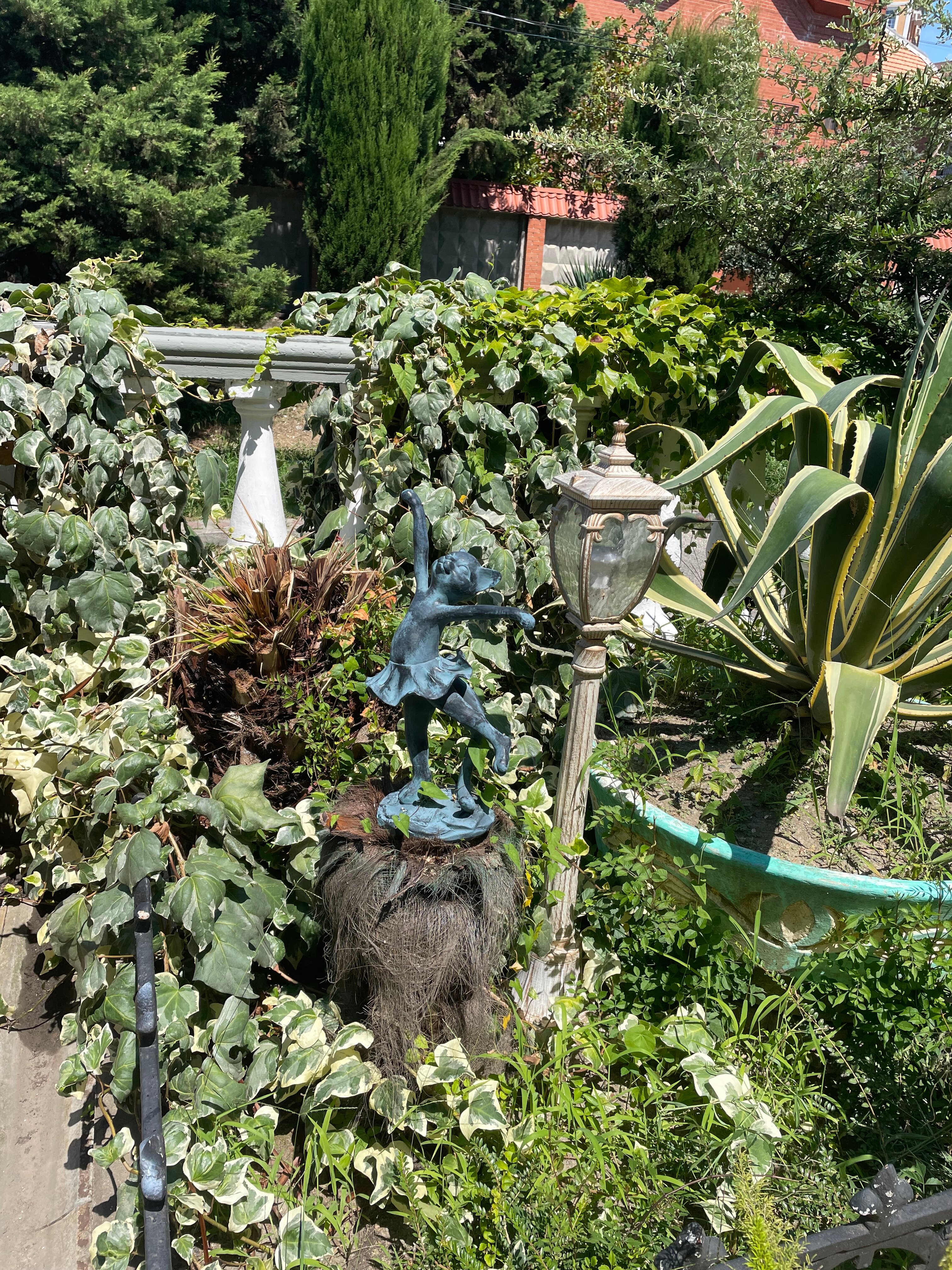 Фото Спутник