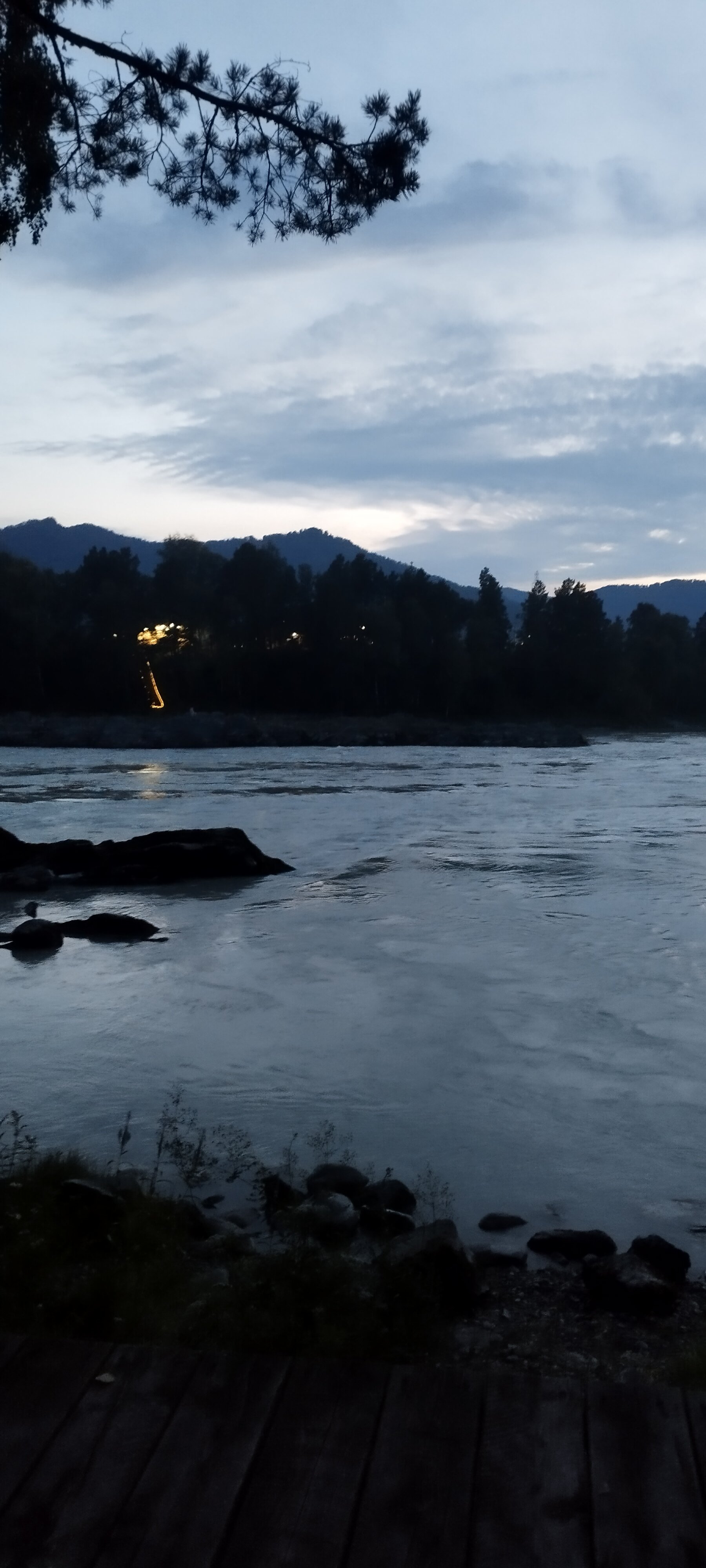 Фото Мамонт