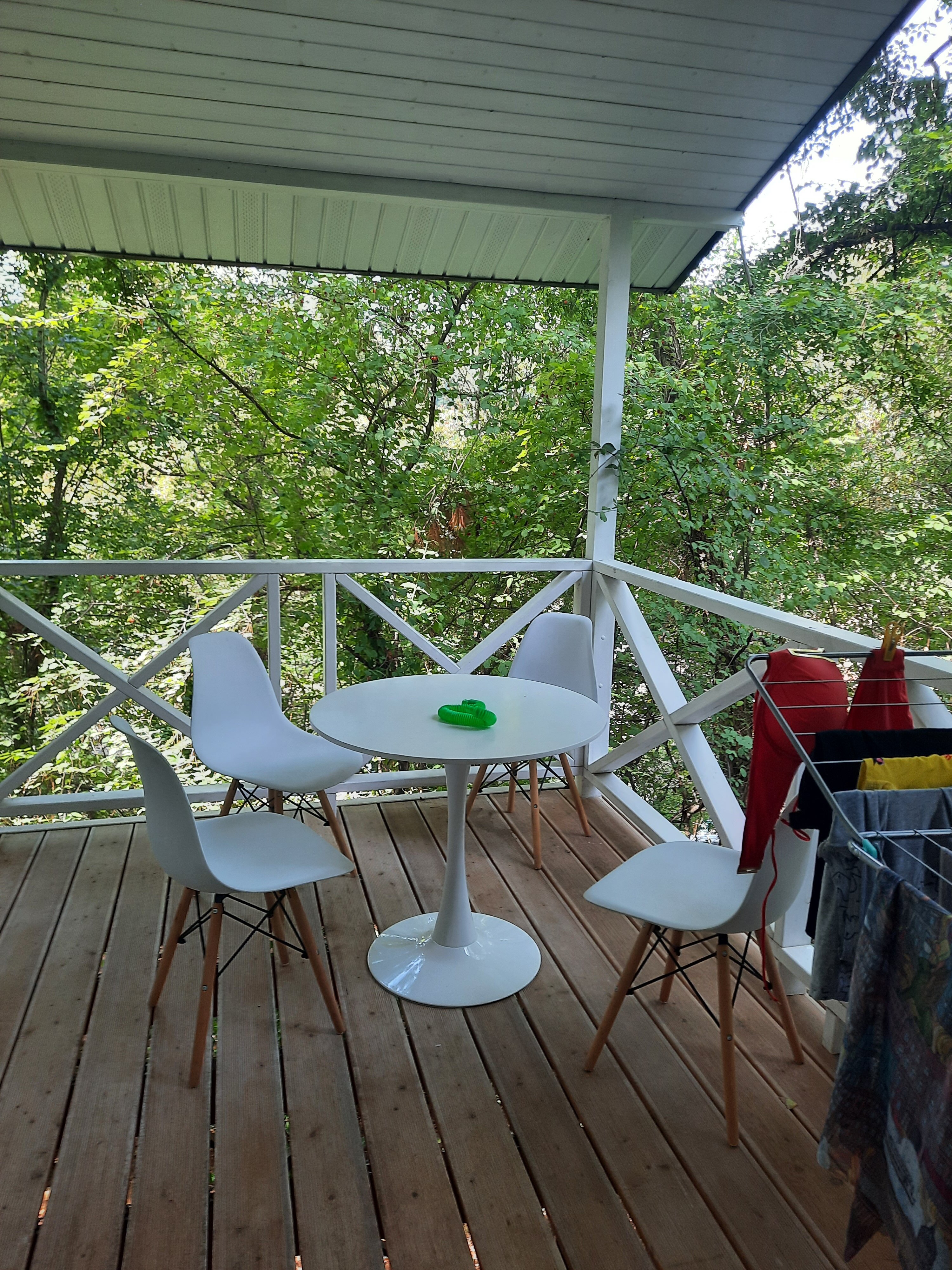 Фото Дружба