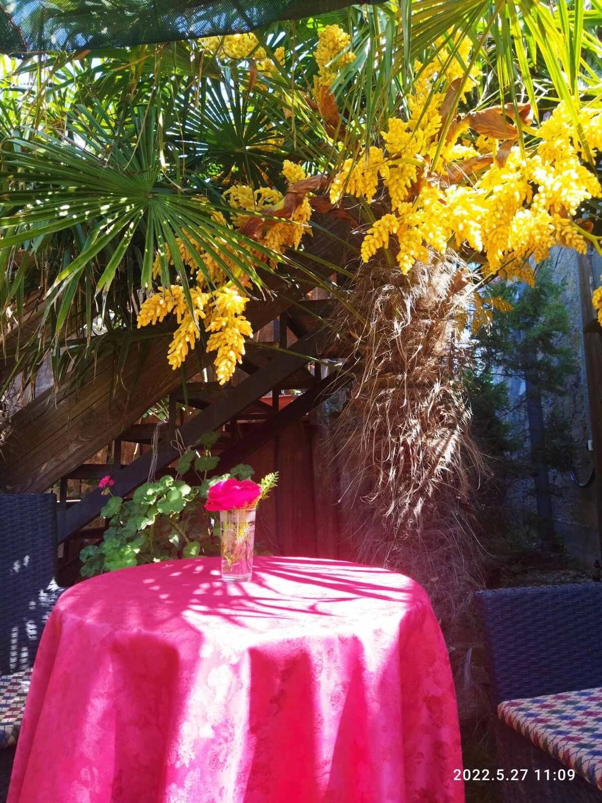 Фото Арт дача