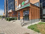 Family Pharm (Qazybek Bı dańǵyly, 40) ، صيدلية