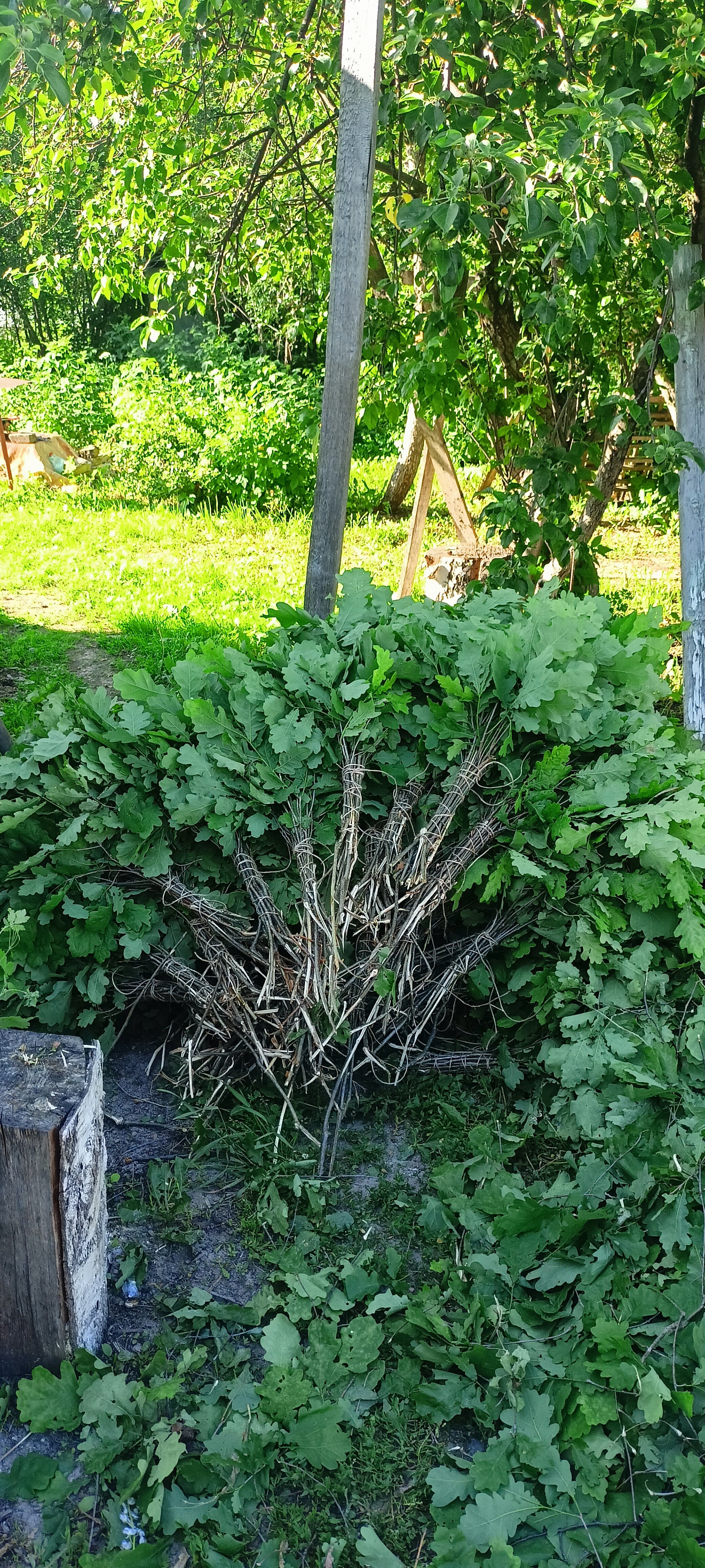 Фото Коттедж у Аджигардака