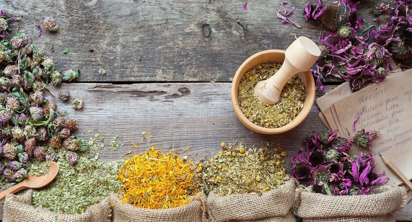 Organization of events Complementary and Health Academy, Isparta, photo