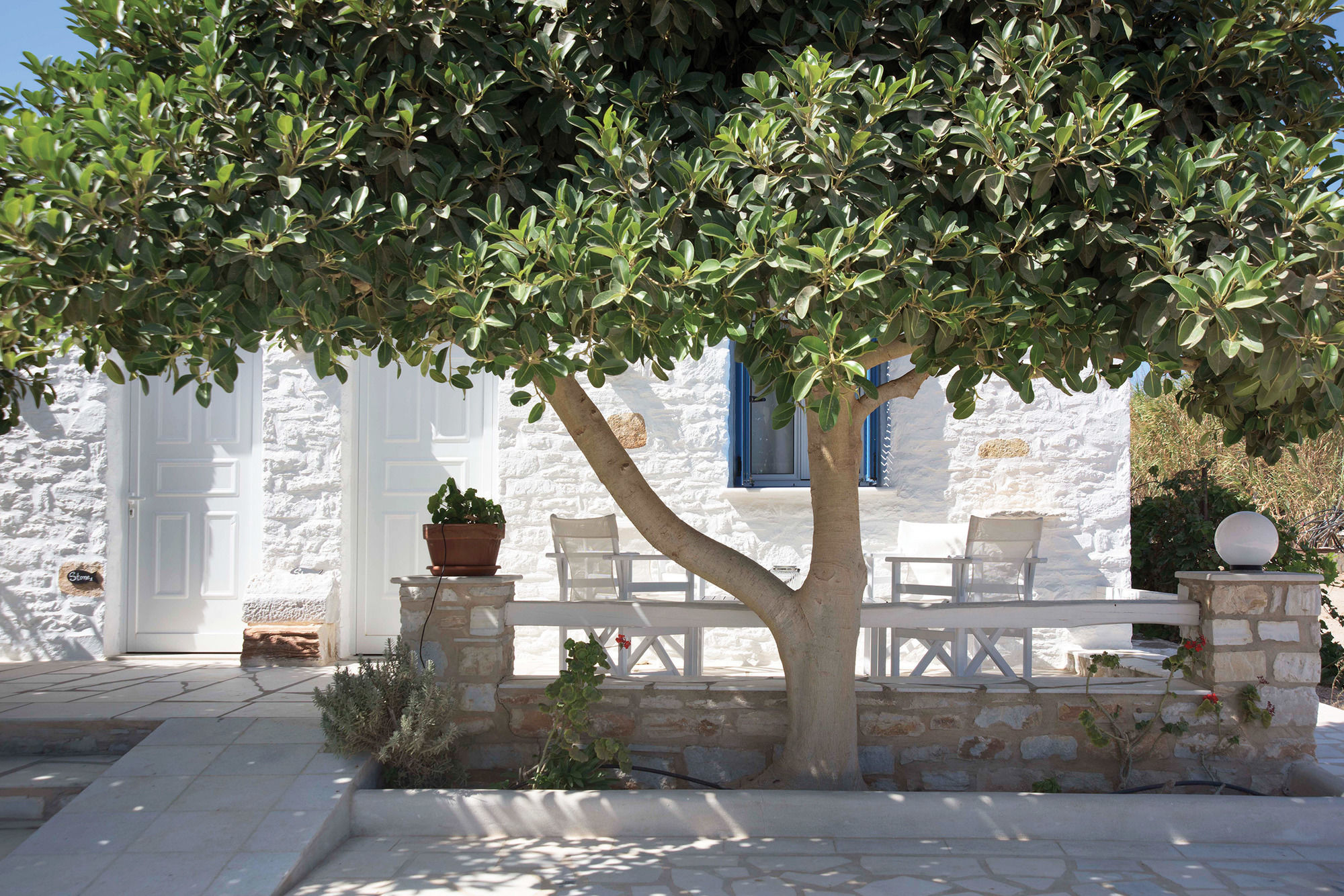 Фото Margarita Studios Ambelas